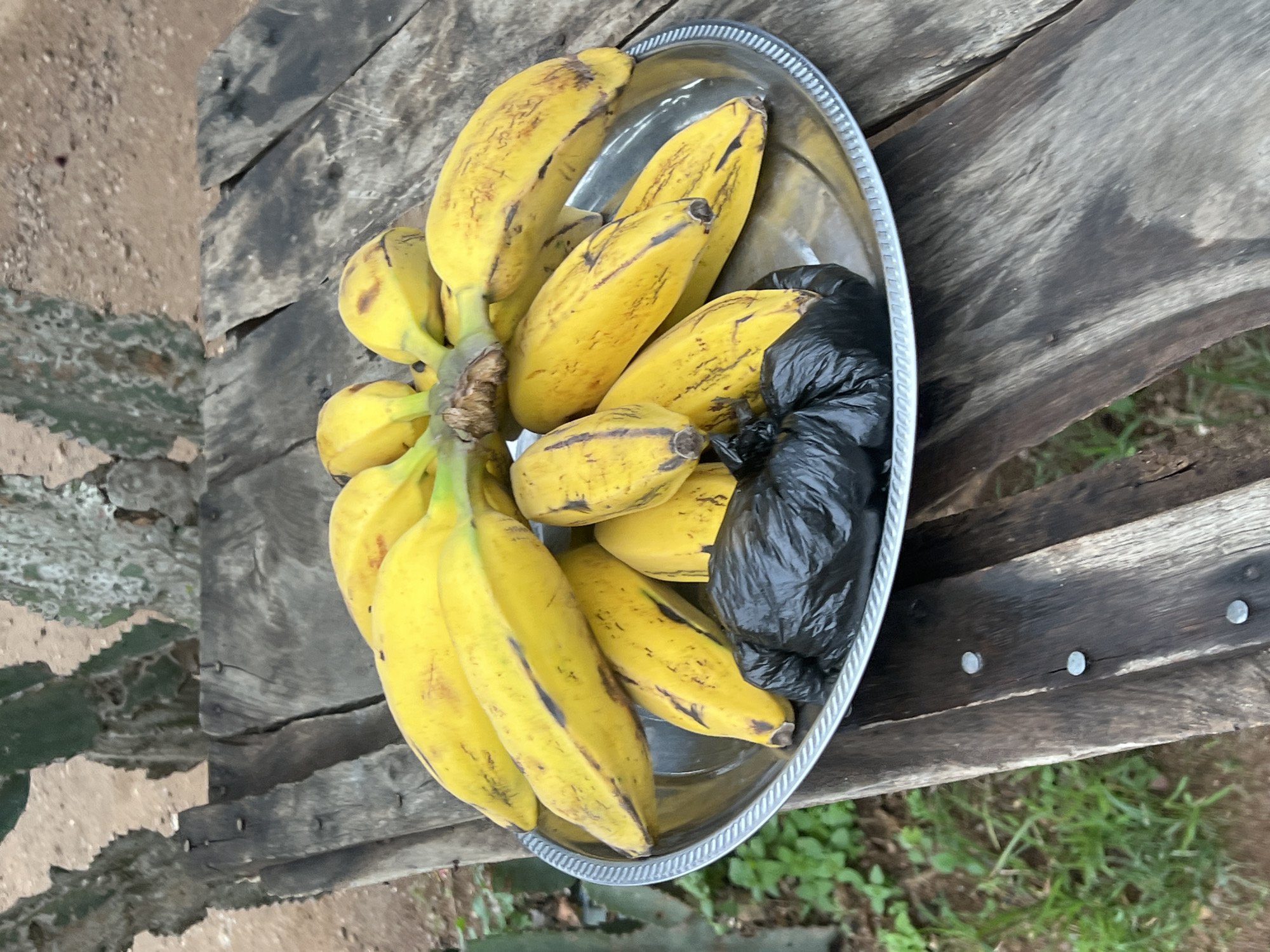 A bunch of bright yellow bananas is displayed on a silver platter, resting on a weathered wooden table outdoors. The bananas, some with faint brown spots, are arranged loosely, showcasing their curved shapes. Beneath the bananas, a black plastic bag is visible, partially obscuring the bottom of the fruit. The platter's rim has a subtle ribbed pattern. The wooden table is constructed from rough, dark planks, showing signs of age and wear. In the background, the scene transitions to dry, sandy ground with a few spiky, green cacti. The overall impression is of a rustic, natural setting. The provided context states the location is Durumi, Nigeria.