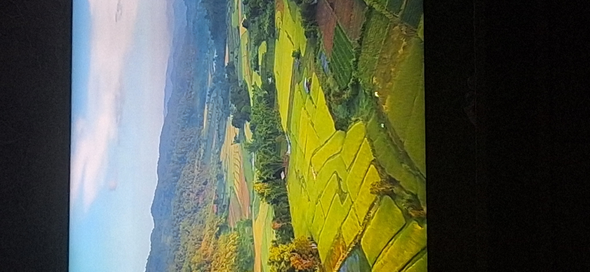 This is a broad, aerial view of a lush, green landscape dominated by agricultural fields and rolling hills. The fields appear to be rice paddies, with distinct geometric patterns created by water and cultivation. Various shades of green, yellow, and brown are visible in the fields, suggesting different stages of growth or types of crops. In the mid-ground, a dense line of trees separates the lower fields from more distant, terraced fields that transition into rolling, forested hills. The hills themselves are covered in trees and appear layered, with the furthest ones fading into a hazy, bluish hue. The sky above is a pale blue with scattered, wispy white clouds. The scene is tranquil and depicts a rural, agricultural setting.
The image does not depict any elements that would allow for identification of its location within Bila Tserkva, Ukraine, or any other specific geographic region. The image is purely a landscape photograph.