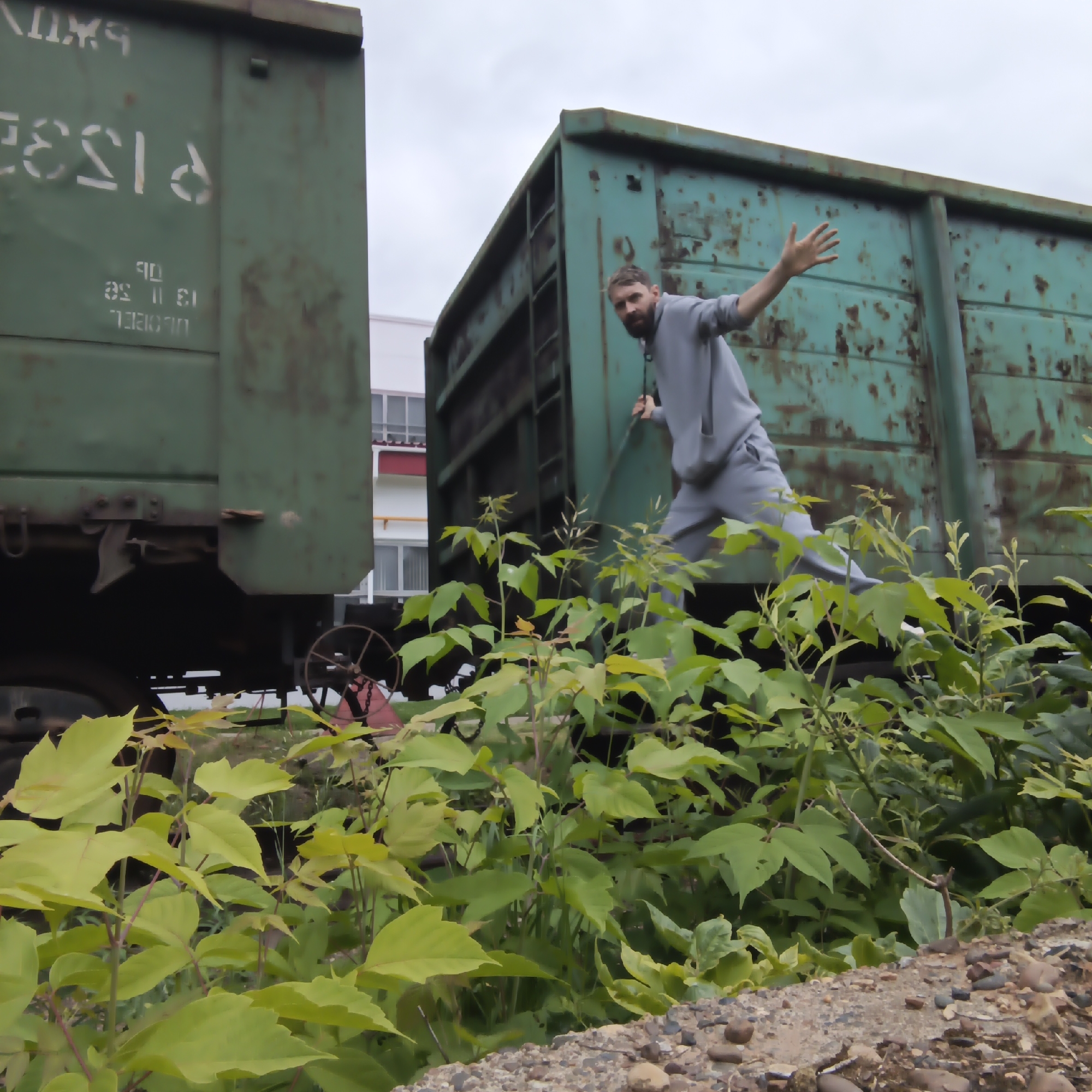 An adult male with a beard, wearing a grey hooded sweatshirt and grey sweatpants, stands on the edge of a rusty, green train car. He is leaning forward and reaching out with his left hand, as if to touch or grab something. His body is angled towards the right side of the frame. In the background, another similar train car is partially visible on the left. The area appears to be an industrial or rail yard location, with overgrown green plants in the foreground and a cloudy sky overhead. The train cars exhibit signs of wear and tear, with rust spots and faded paint. In the far background, a multi-story building with windows is visible. The image was taken in the city of Chaikovsky, Russia.