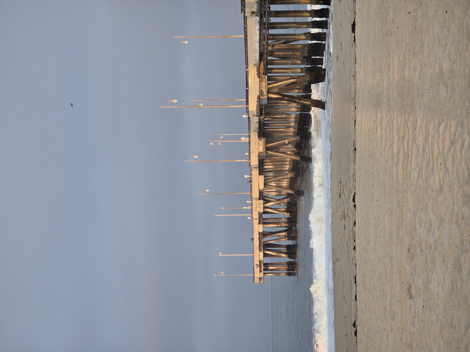 The image depicts the Venice Beach Pier in Los Angeles, California, at an oblique angle from the shore. The foreground is occupied by a sandy beach with subtle wave patterns. Beyond the beach, the ocean stretches out, with a moderate wave breaking near the shore. The pier, a prominent structure, extends into the water, supported by numerous thick, weathered pilings. These pilings are encrusted with dark marine growth, indicating their submersion in the water. The pier itself is a concrete structure with a walkway on top. Several lampposts with lights are spaced along the length of the pier, their lights appearing to be on, suggesting either dusk or dawn. A few small figures can be seen on the pier walkway, and a small boat is visible in the distance on the water. The sky above is a hazy, pale blue, with a single dark bird in flight high above the pier. The overall lighting suggests a diffused, possibly overcast, early morning or late afternoon light.