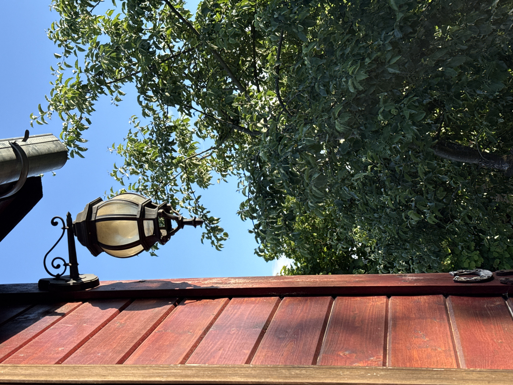 The image depicts an exterior view of a red wooden building wall on the left, with a black wrought-iron lantern mounted to it. The lantern is octagonal with glass panels and is hanging from an ornate bracket. To the right of the building, a large, leafy green tree dominates the frame, with its branches reaching towards a clear blue sky. A dark-colored gutter or downspout is visible at the top edge of the frame, running from the roof of the building. The scene appears to be in a natural or semi-rural setting, likely a garden or yard, given the presence of the tree and the style of the building and lantern. The overall impression is one of a peaceful outdoor scene bathed in sunlight.