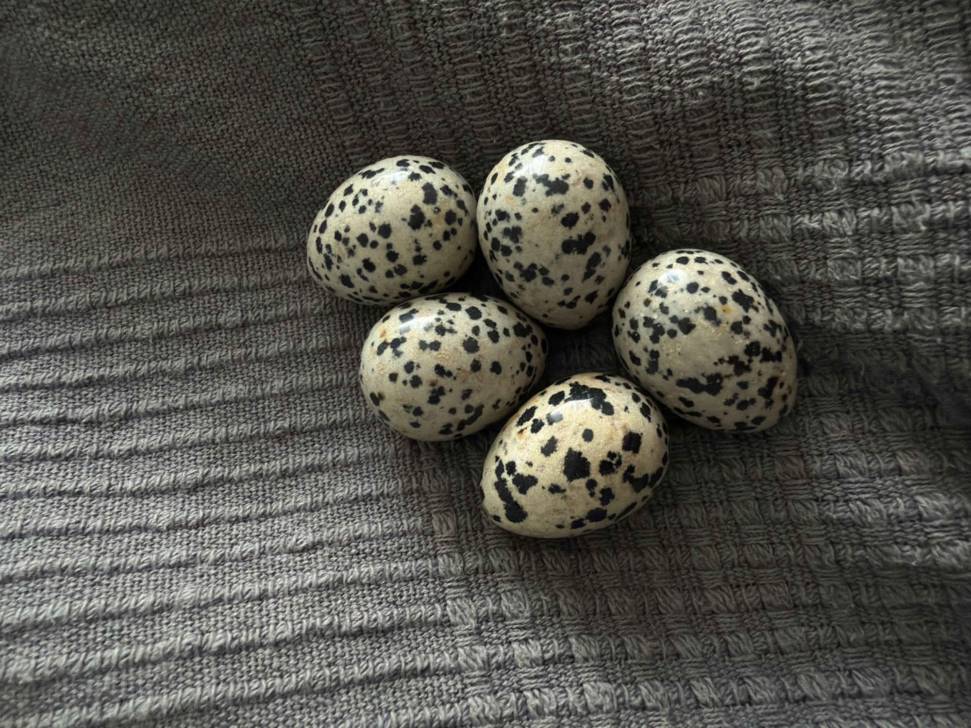 Five speckled eggs are clustered on a gray, textured fabric. The background is out of focus. There is no indication this image was taken in Khimki, Russia.