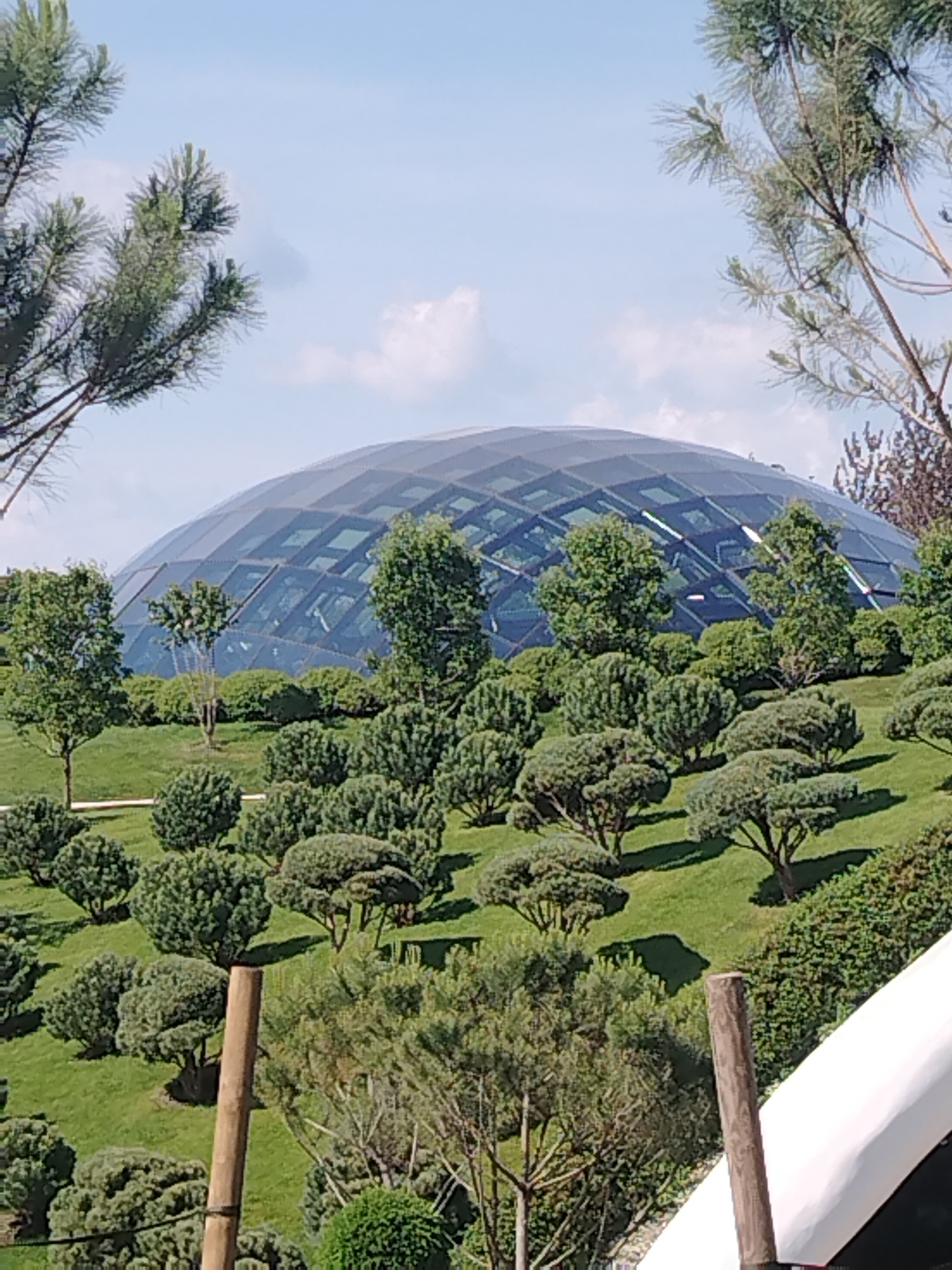 The image depicts the exterior of the "Flower of Life" botanical garden dome in Krasnodar, Russia. The dome, a large geodesic structure with a faceted glass roof, dominates the upper portion of the frame. It is surrounded by lush, rolling green hills covered in meticulously manicured trees and bushes. The foreground features more of this sculpted greenery, with several trees and shrubs casting shadows on the grass. The sky above is a bright blue with scattered white clouds, suggesting a clear day. The overall impression is of a well-maintained and modern botanical garden.