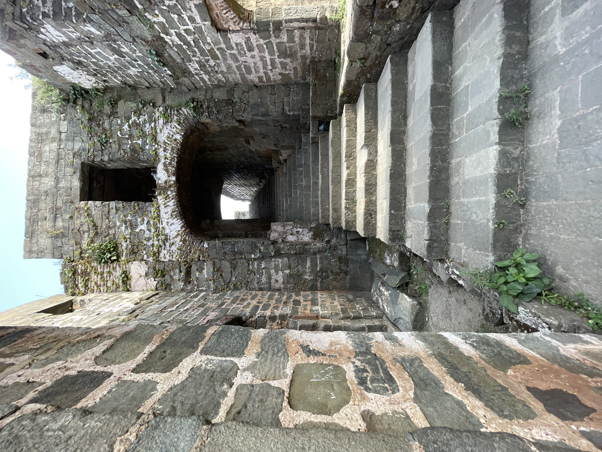 A low-angle, eye-level shot depicts a subterranean structure in Kaswara, India. The foreground features a stone-tiled ledge of various hues. In the middle ground, stone steps descend vertically to the right, juxtaposed against a stone wall on the left featuring a window. A stone tunnel begins to arch immediately behind the top of the steps. There is a bird on the stone wall. Plant growth is visible in various locations, particularly adjacent to the stairs. In the background, an opening at the end of the tunnel emits a beam of light.