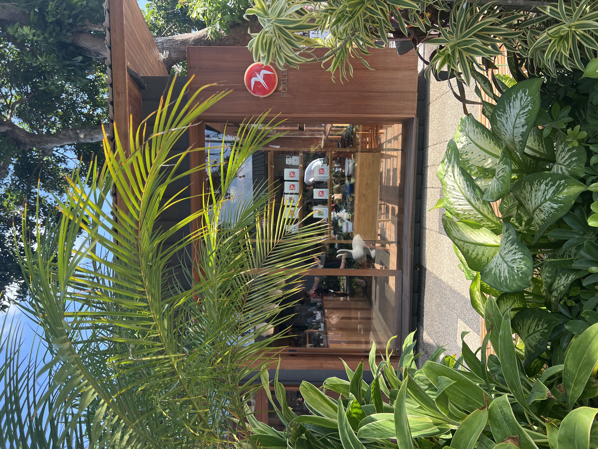 An exterior shot captures a modern, open-air cafe in Mengwi, Indonesia, with a wooden facade and large glass windows. Lush tropical foliage, including palm fronds and broad-leafed plants, frames the scene. Inside the cafe, a counter displays rows of white bags with red logos. A person in a white uniform is visible behind the counter. A white decorative swan sculpture sits on a table inside. A red circular logo with a white bird and the word "FUGLE" is affixed to the wooden exterior. The sky above is a clear blue.