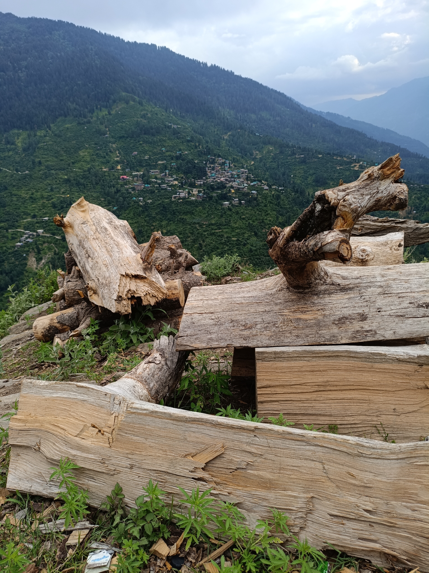 The image depicts a scenic view of a mountainous region with a village nestled in the valley. In the foreground, there are several large pieces of weathered, dry wood, likely logs or fallen tree trunks, stacked or scattered on uneven terrain. These wooden elements are textured and weathered, showing signs of age and exposure to the elements. Green vegetation, including small plants and grass, grows around and between the logs, indicating an outdoor setting.
The background reveals a densely forested mountainside that slopes down into a valley. A small village, characterized by numerous buildings with colorful roofs, is visible spread across the lower slopes and in the valley floor. The village appears to be a rural settlement in a hilly or mountainous area. Beyond the immediate valley, more layers of mountains extend into the distance, fading into a hazy, atmospheric perspective.
The sky is overcast with clouds, suggesting a cloudy or possibly rainy day. The lighting is diffused, with no harsh shadows, consistent with cloudy weather. The overall atmosphere is serene and natural, with a touch of rustic charm due to the presence of the logs.
There is no discernible activity or event taking place in the image. It appears to be a still shot capturing a landscape. The location is identified as Damadi, India, which aligns with the visual cues of mountainous terrain and village architecture often found in such regions of India. No visible text is present in the image, apart from a small, potentially unreadable label or piece of trash near the bottom left.