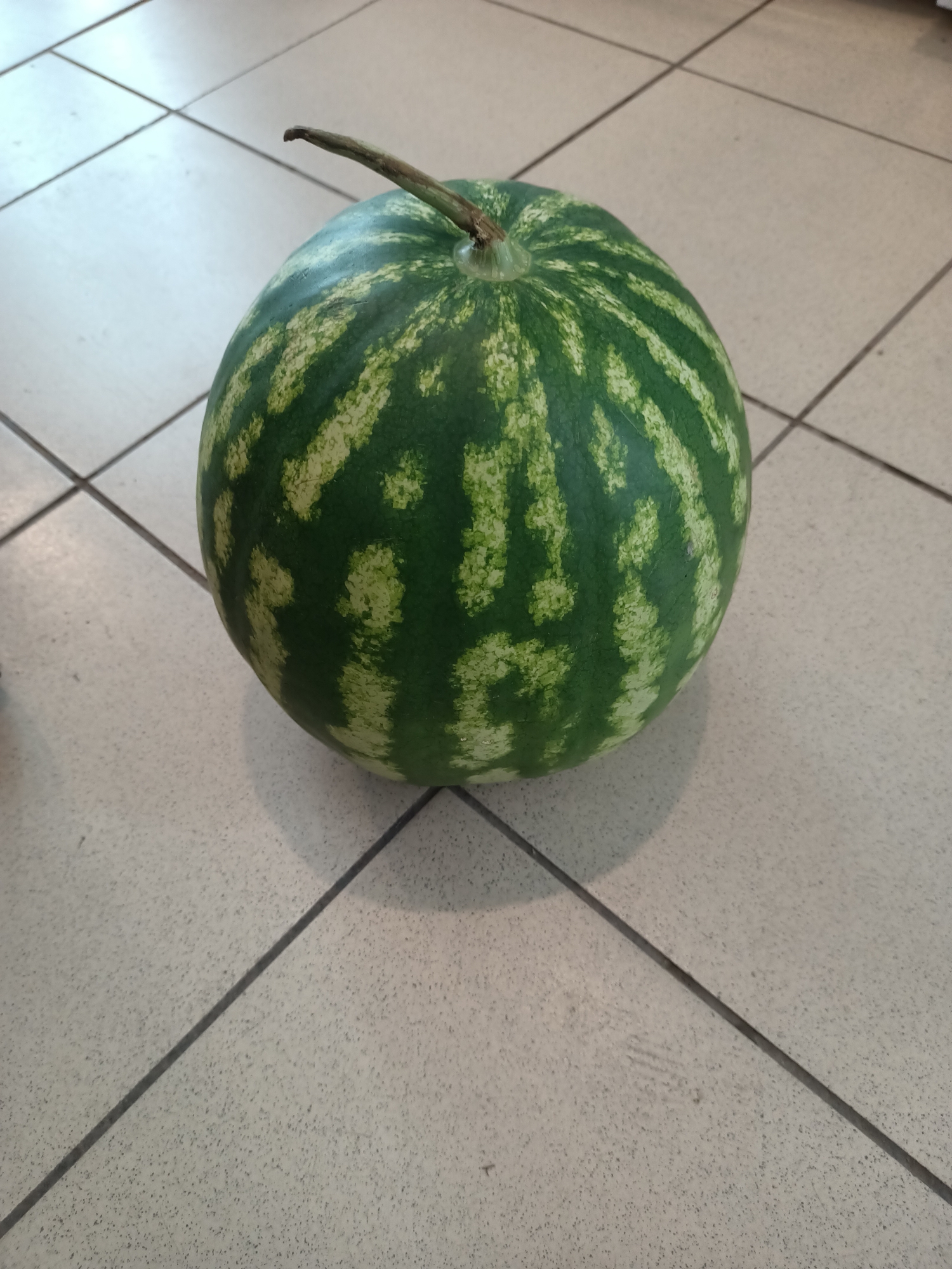 A whole watermelon with green stripes and a brown stem sits on a light-colored tiled floor. The tiles are arranged in a grid pattern, with dark grout lines. The watermelon is positioned slightly off-center to the right, casting a soft shadow on the floor. The background is out of focus, suggesting the image was taken indoors. There are no people or other objects visible in the frame. The scene appears to be a casual indoor setting, possibly a kitchen or a pantry, within the city of Abay, Kazakhstan.