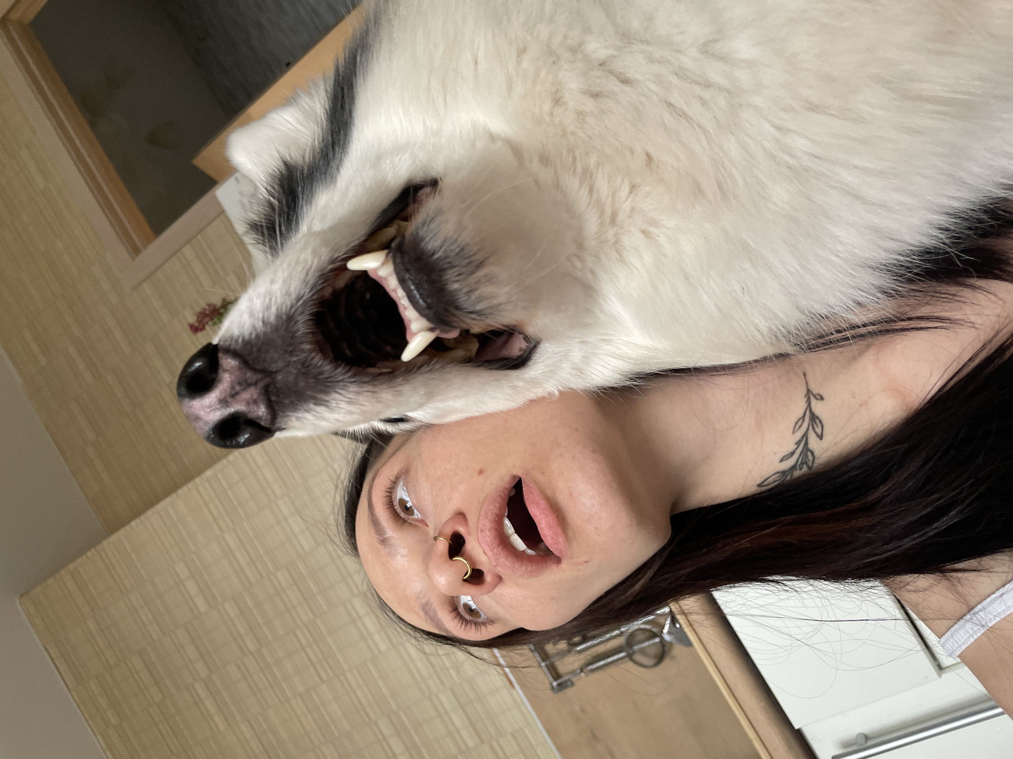 The scene is set in an indoor residential environment within Izhevsk, Russia. The primary subjects are an adult female and a domestic dog, captured in a close-up, upward-angled shot.
The female, positioned on the left, has long, dark hair and fair skin. She is looking upwards with her mouth slightly agape, revealing her upper teeth. She wears a gold-colored septum ring and a gold-colored nostril ring on her nose. A small, dark tattoo depicting a leafy branch is visible on the left side of her neck. Her left shoulder, adorned with a white strap, is partially visible.
The dog, positioned on the right and closer to the camera, is a large breed, primarily white with distinct dark markings on its head and ears, consistent with a Siberian Husky or similar type. Its head is tilted upwards, mouth wide open, exposing its large canines and other teeth, with its tongue visible inside. Its dark nose is prominent at the top of the frame. The dog's head is in very close proximity to the woman's face, indicating an direct interaction or shared focus.
The background shows a light-colored, textured wallpaper with horizontal patterns on the upper left wall. To the right, a wooden door frame opens into a darker adjacent room. Below the door frame, white cabinet doors with horizontal silver handles, resembling kitchen cabinetry, are visible. Above these cabinets, a light-colored wooden surface or countertop is present. Partially visible behind the woman's head are silver kitchen utensils hanging from a rack. Both subjects appear to be directing their gaze towards an unseen point above and slightly to the right of the frame.