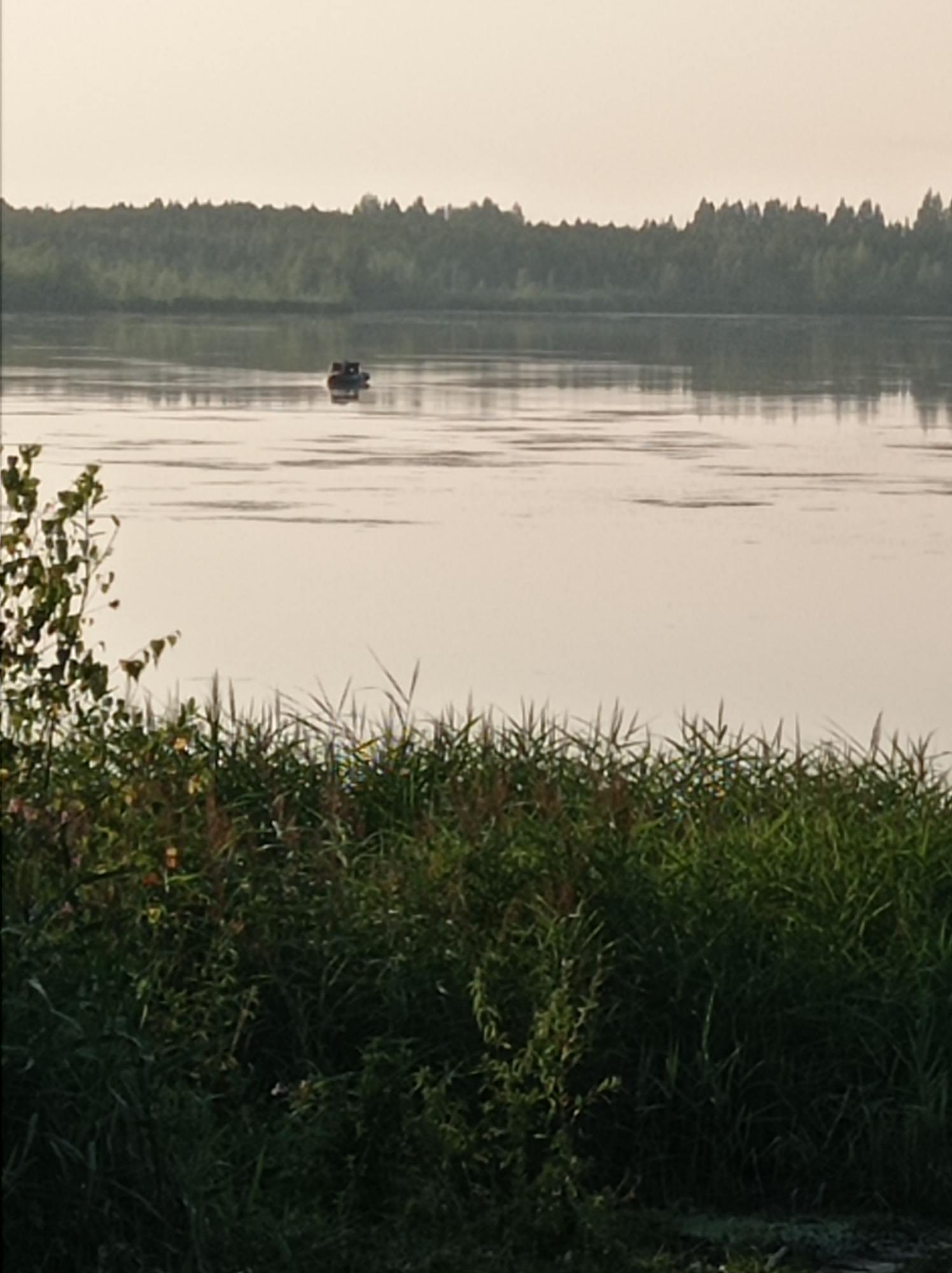 The image depicts a wide, calm body of water, likely a river or lake, with a dense, dark green forest lining the far bank. The sky above is a pale, hazy white, suggesting either early morning or late evening light. In the middle distance, a small, dark boat with at least two figures is visible on the water. The foreground is dominated by thick, lush green vegetation, including tall grasses and leafy plants, obscuring the very bottom of the frame. The overall impression is one of natural tranquility. The location is identified as the city of Degtyarsk, Russia, specifically along the banks of the river Shartym.