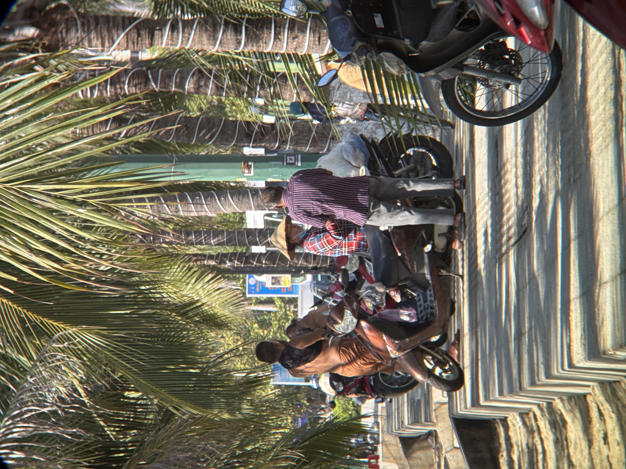The image depicts a street scene in Nha Trang, Vietnam, likely near the beach given the presence of palm trees. In the foreground, several motorbikes are parked on a concrete walkway. One motorbike, a dark red scooter, is prominently featured with its front wheel visible. Behind it, a dark-colored scooter is also parked. Further back, a red and black motorbike is visible.
Three individuals are present. On the left, a person wearing an orange outfit is standing next to a motorbike, appearing to be adjusting their clothing. In the center, a person wearing a straw hat and a plaid shirt is talking to another person who is wearing a striped shirt and gray pants. The latter appears to be looking down and may be holding something. In the background, a person in a dark blue shirt and orange shorts is partially visible, near a motorbike.
The environment is characterized by lush palm trees casting shadows on the ground, suggesting a sunny day. A green pole is visible behind the individuals in the center. The overall atmosphere suggests a casual, possibly commercial, street setting.