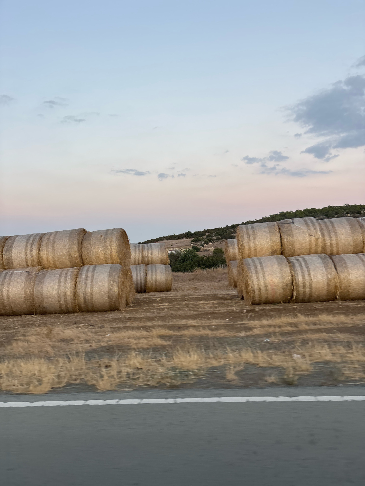 The image shows a field with numerous large, round hay bales stacked in multiple rows. The bales are wrapped in a reflective, golden-colored material. The field appears dry and covered in sparse, golden-brown grass and some darker soil. In the background, there is a gentle slope covered with low-lying green vegetation and scattered trees, characteristic of the terrain in the Armenochori Community, Cyprus. The sky above is a soft gradient of pale blue and pink, with a few wispy clouds, suggesting it might be dawn or dusk. In the foreground, a portion of an asphalt road with a white line is visible, indicating the perspective is from a vehicle moving along a road adjacent to the field. No people or animals are visible.
