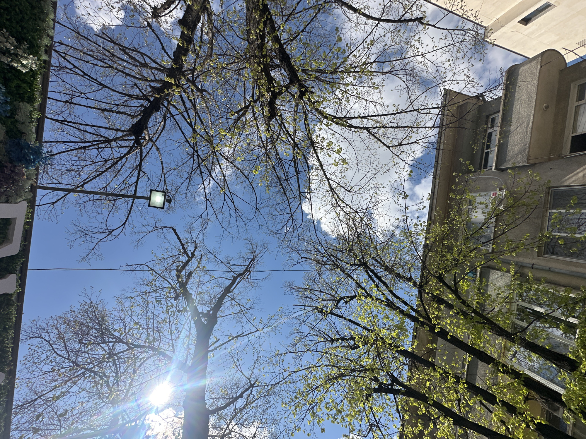 The image shows a low-angle view upward in an urban setting. Tree branches with nascent leaves frame the sky, which is a mix of blue and scattered white clouds. A street lamp is visible on the left. On the right is a multi-story building with a grey facade and visible windows. The location is suggested to be in Plovdiv, Bulgaria. No people or actions are visible.