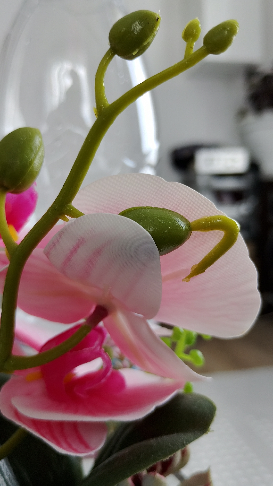 This image is a close-up, macro photograph of a portion of an artificial orchid plant. The plant has a green stem with several small, green buds and one partially opened pink and white flower. One green bud is visible in the upper left, and another is in the upper center. A third bud is on the right side of the frame, emerging from behind a delicate, translucent pink petal that has faint pink stripes. The flower itself is primarily pink with white edges and appears to be made of fabric. The background is blurred and out of focus, showing a bright, indistinct white area on the left and darker, muted tones on the right, suggesting an indoor setting. There are no people or animals in the image. The lighting is bright, highlighting the textures and colors of the artificial plant. The image does not contain any information or visual cues that would allow for the determination of its location in Smolyan, Bulgaria, or any other specific geographical location.