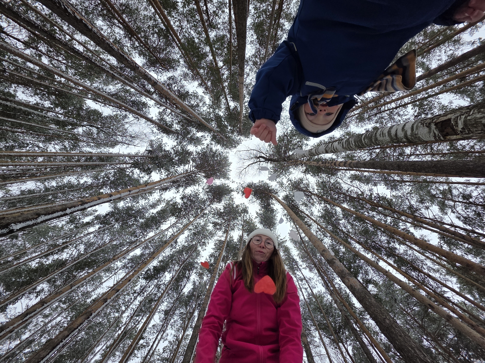 Captured from a low angle, the image presents a scene within a forest, likely in winter, given the snow visible on the trees. The location is identified as the city of Chaikovsky, Russia. Tall, bare trees dominate the background, creating a converging perspective towards the top of the frame. In the foreground, two individuals are visible. At the bottom center is a woman wearing a bright pink jacket, a white beanie, and glasses. A red heart is attached to the jacket. Above her, partially obscuring the upper portion of the scene, a child in a dark blue winter coat appears upside down. A series of paper heart decorations are suspended between the trees, adding a touch of festivity to the environment.