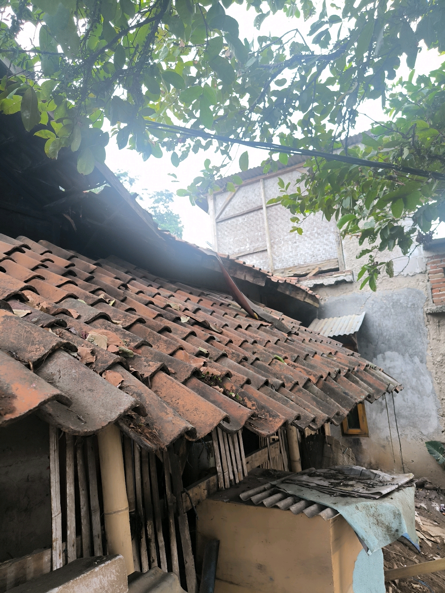 The image depicts an exterior view of a weathered tiled roof, likely in a residential area of Cilengkrang, Indonesia. The roof, made of aged, reddish-brown clay tiles, shows signs of disrepair with some tiles displaced and covered in debris, including fallen leaves. Beneath the overhang of the roof, a structure constructed with bamboo poles and wooden slats is visible, suggesting a utilitarian or storage area. A portion of a concrete wall is visible to the right of the roof, with a small, yellowish-orange framed window. Further in the background, another building with woven material panels and a corrugated metal roof can be seen. Lush green foliage from trees hangs over the top of the image, casting shadows and partially obscuring the sky. The overall scene suggests a somewhat aged and rural or semi-rural environment. There are no people or animals present in the image. The lighting indicates it is daytime, possibly overcast.