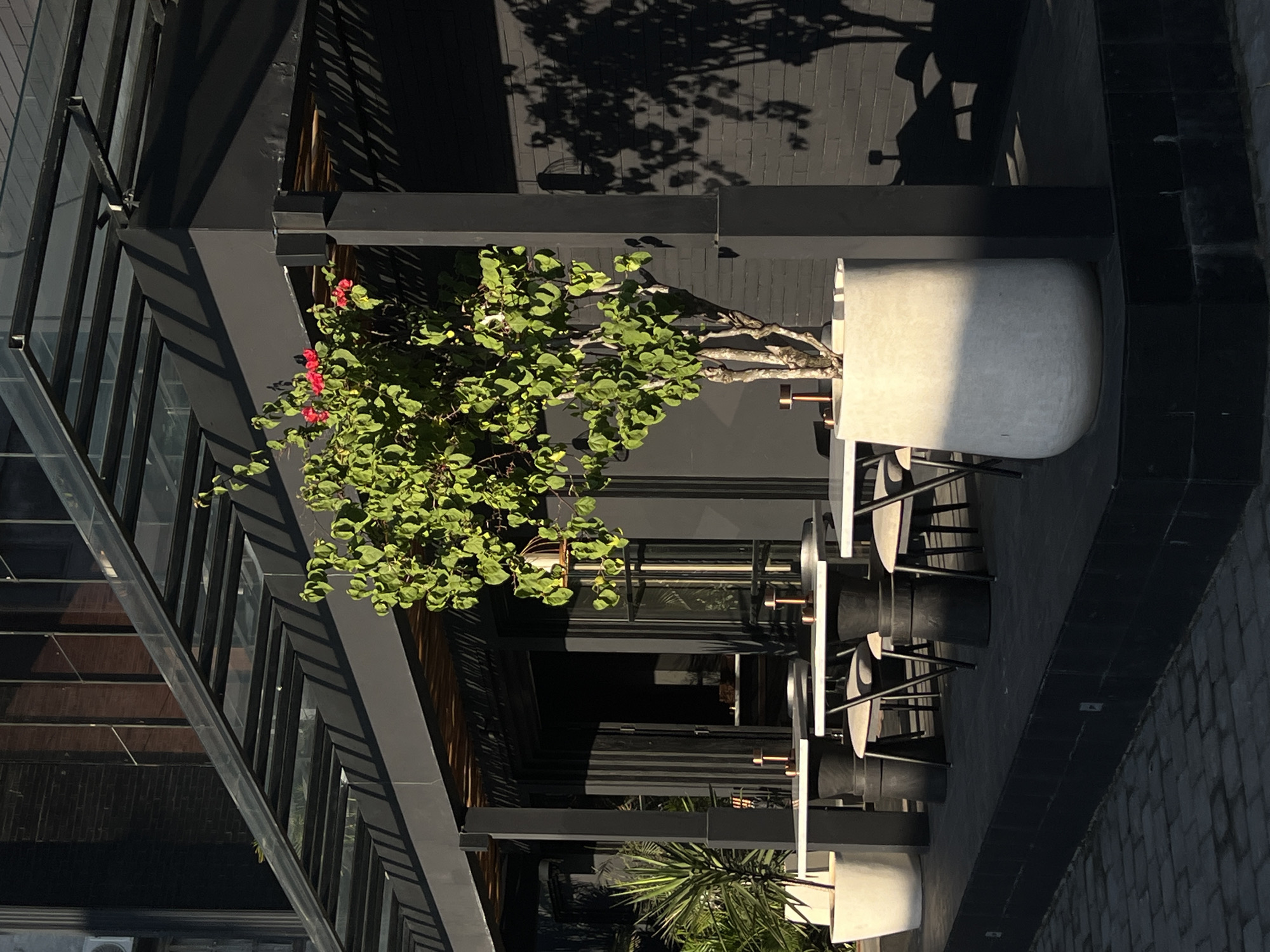 This outdoor scene features a modern architectural setting in what appears to be a commercial area. The location is North Kuta, Indonesia. The dominant colors are shades of gray, black, and green, indicating a contemporary design with an emphasis on greenery. A variety of architectural elements are visible, including glass windows with black frames and structural support beams.
The scene includes plants in large, light gray pots, specifically a tree with green leaves and a few red flowers, and a palm-like plant. Several sets of chairs and tables, with black seats and light gray tops, are arranged in a row.
The overall environment suggests a minimalist outdoor cafe or dining space. The brick pattern on the right side indicates a possible sidewalk or pedestrian area. The lighting suggests it is during the daytime, with shadows being cast by trees. No people are visible.