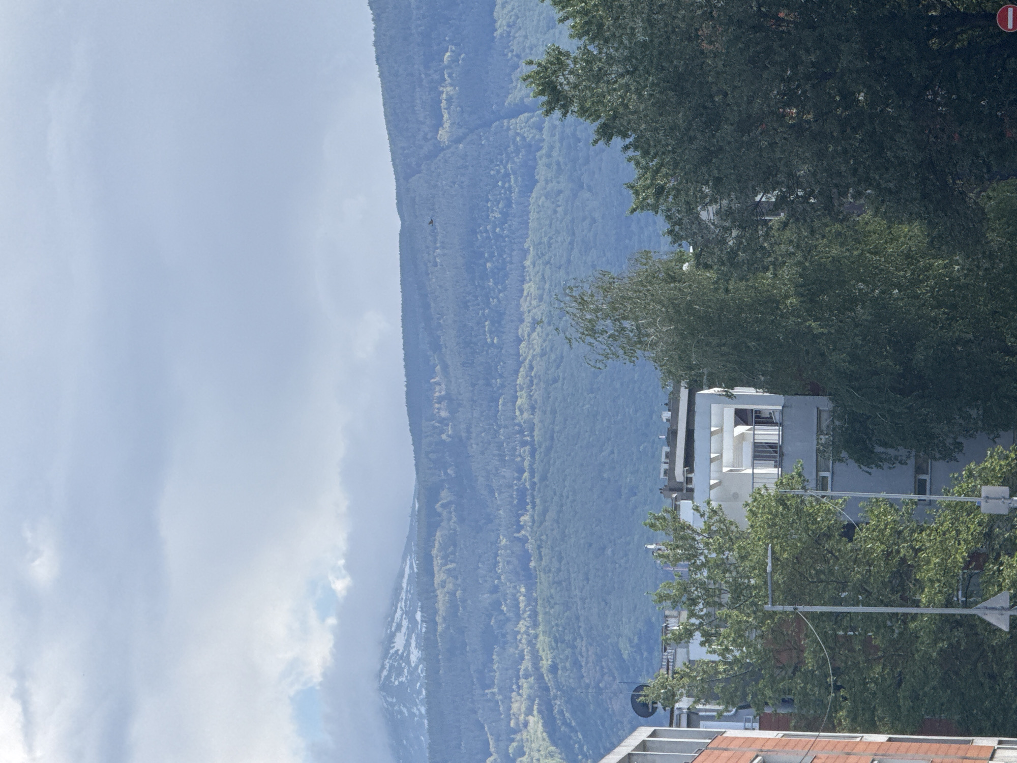 The image shows a cityscape view in Sofia, Bulgaria. In the foreground, there are buildings with white and red brick facades partially obscured by green trees. A traffic light pole is visible among the trees. In the background, a forested mountain range dominates the view, partially covered in clouds with some snow visible on the lower slopes. The sky is overcast and light blue.