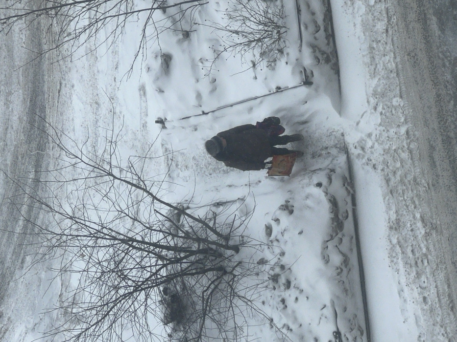 The image depicts a solitary individual descending a snow-covered path or set of stairs in Saint Petersburg, Russia, under overcast winter conditions. The person, viewed from a high angle and behind, wears a dark, heavy winter coat, a dark hat or hood, and dark trousers and boots. They carry an orange-brown shopping bag with a visible graphic in their right hand and a dark, possibly purple, soft bag or bundle in their left hand, tucked under the arm. To the left of the path is a bare, multi-branched deciduous tree or large bush, its base heavily covered in snow. A dark metal handrail runs along the right side of the path, anchored into the snow. Further right, smaller, sparse bushes are visible. The path itself is partially cleared but still covered with compacted snow and ice, showing footprints. Below the path, a slushy, dirty-snow-covered road surface with visible tire tracks extends across the bottom of the frame. The entire scene is blanketed in snow, suggesting cold temperatures and a winter environment.