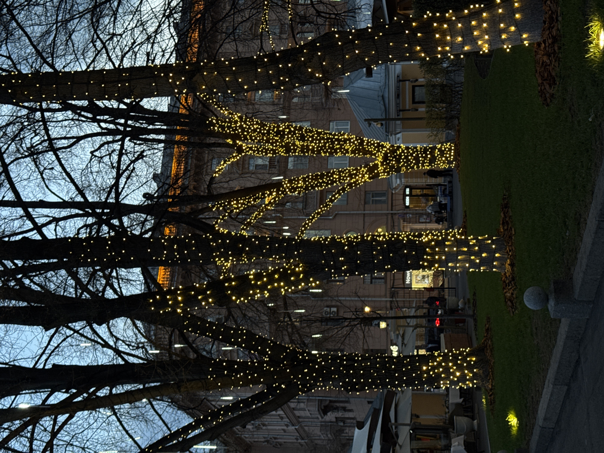 The image depicts a street in Moscow, Russia, decorated with strings of small yellow lights wrapped around the trunks and branches of trees. The trees line a pedestrian walkway with a patch of grass on one side. Behind the trees, buildings are visible, including one with a partially illuminated facade. People are walking on the walkway in the distance. A street light and some parked cars can also be seen.