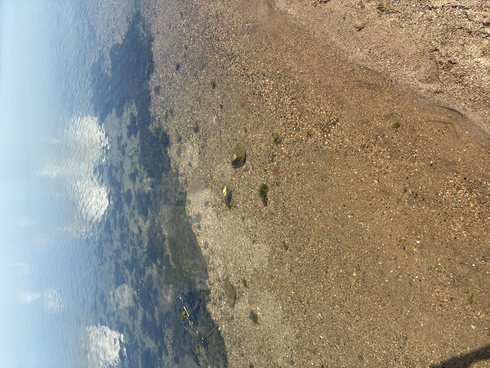 The image depicts a shoreline, transitioning from clear water on the left to a sandy beach on the right. The water has reflections of the sky and some visible vegetation beneath the surface. The beach is composed of sand and small pebbles. The location is Unknown, Unknown. There are no people visible.