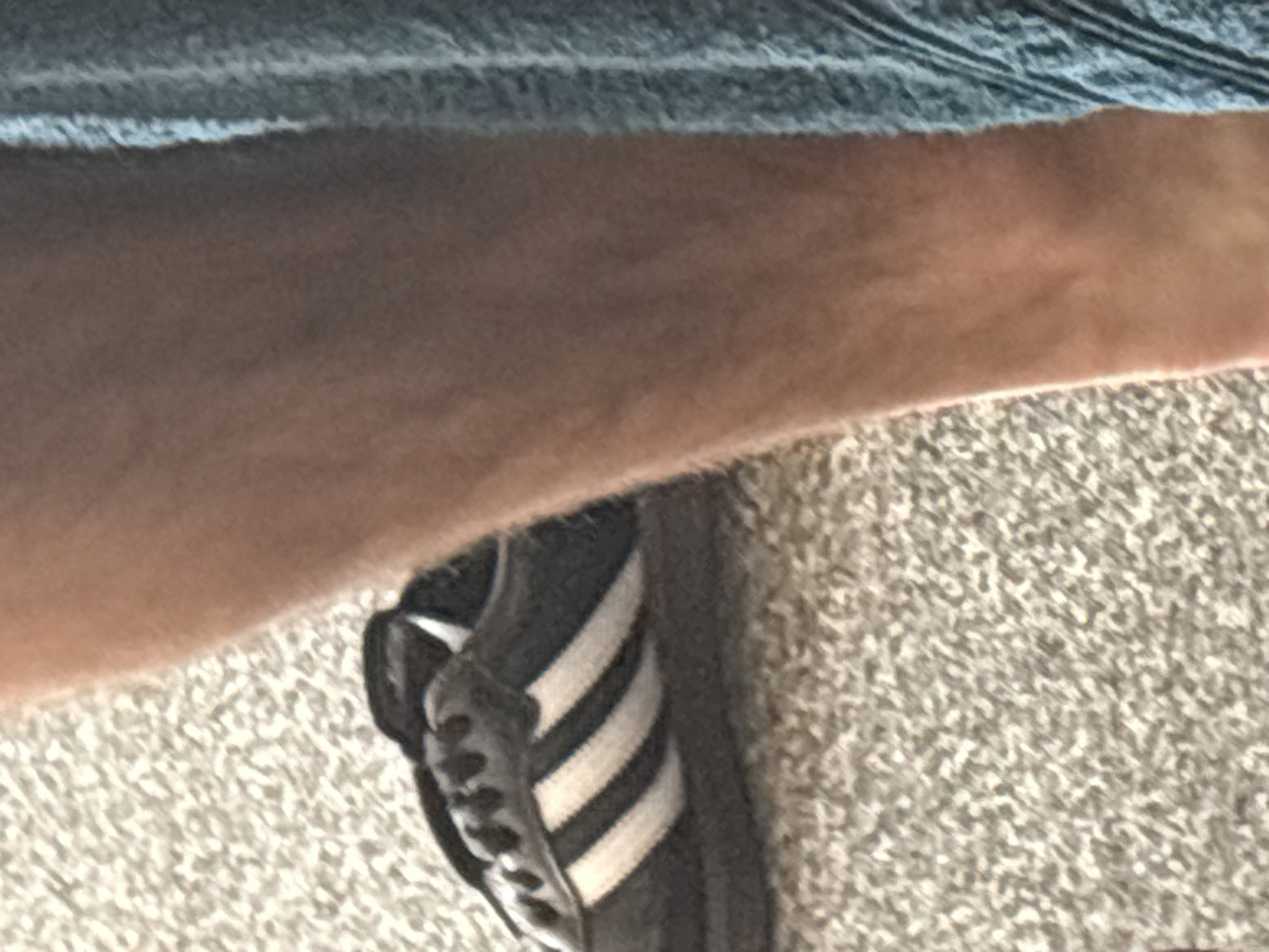 An Adidas sneaker with white stripes is visible on a carpeted surface. A person's leg and a blue towel are also in the frame. The lighting suggests an indoor environment.