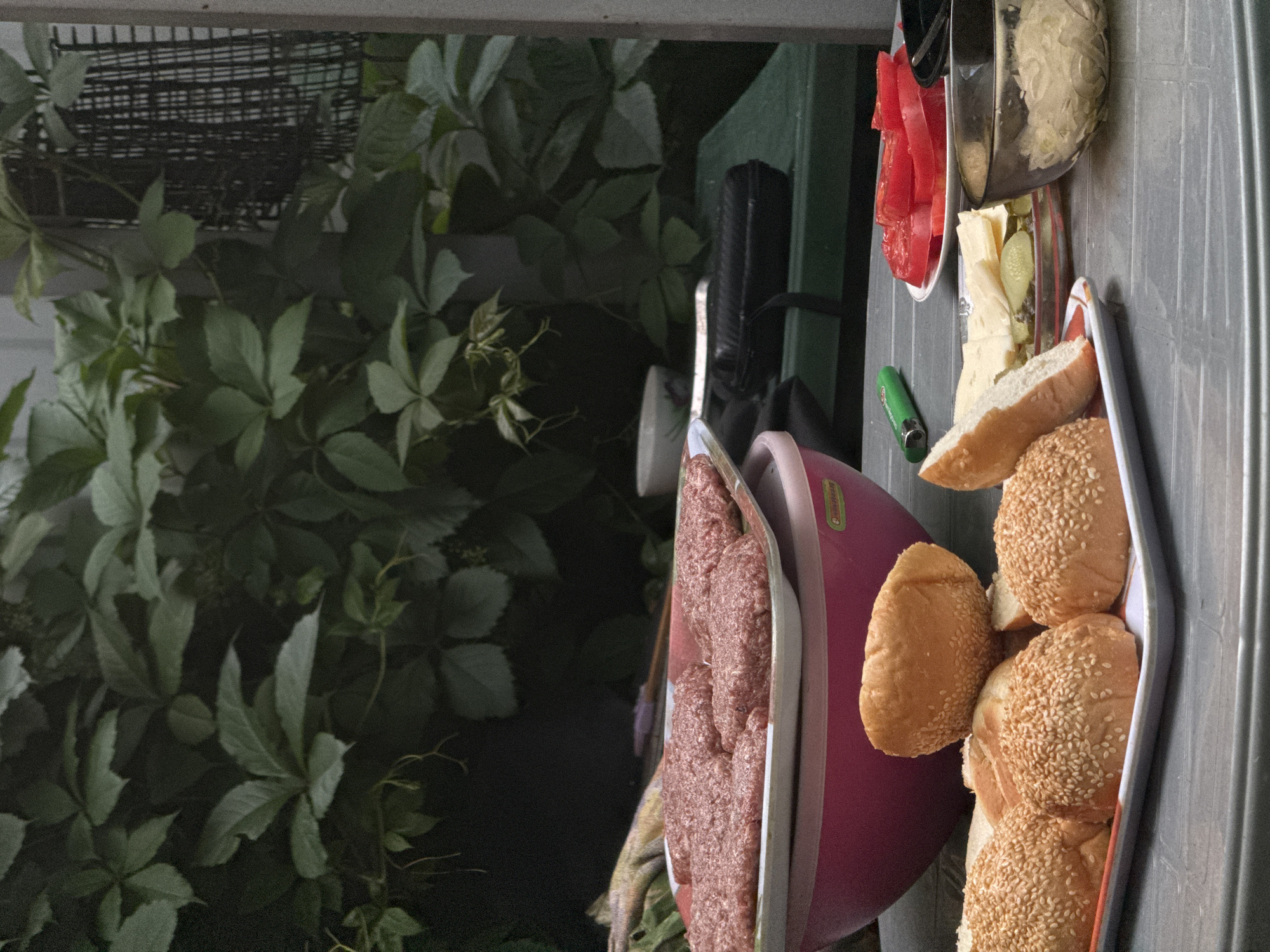 A close-up, eye-level, outdoor shot captures a table set for a barbecue in Pribrezhnyi, Russia. In the foreground, a platter holds several sesame-seed topped burger buns, some halved, revealing their white interiors. Beside this platter are slices of cheese, pickles, and chopped red tomatoes on a smaller plate. To the right, a clear bowl contains shredded cabbage. A green lighter rests on the table near the tomatoes. In the background, a large pink bowl contains raw hamburger patties on a white tray, some of which are overlapping. Behind the table, lush green foliage covers the background, creating a natural, slightly overgrown setting. A dark, zipped pouch is visible on a green surface behind the pink bowl.