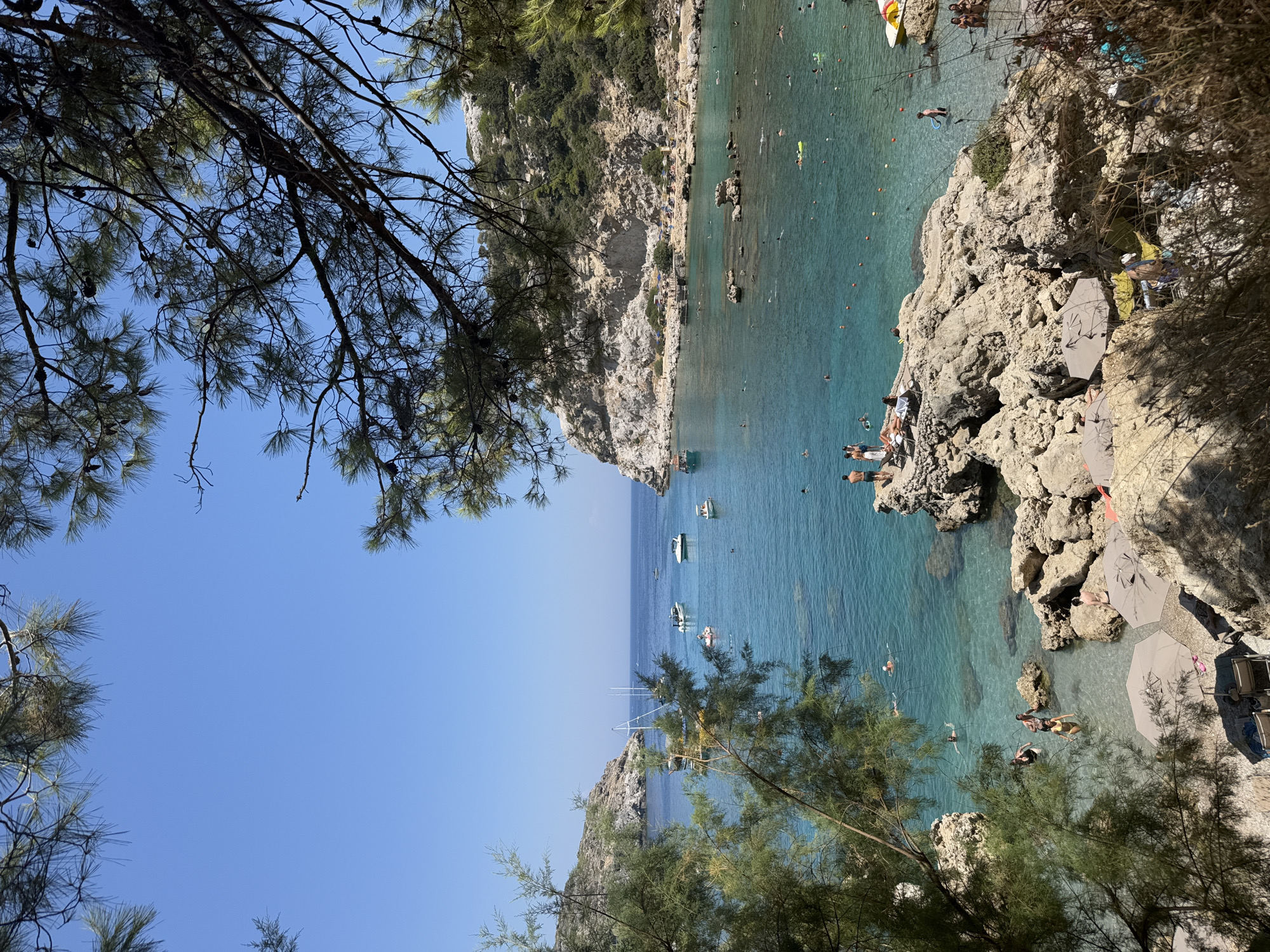 This is a medium shot, taken from an elevated vantage point, of a picturesque bay on the island of Rhodes, Greece, likely Anthony Quinn Bay. The clear, turquoise water is calm and inviting, dotted with several small boats and swimmers enjoying the day. The bay is surrounded by rocky cliffs covered in sparse vegetation. In the foreground, pine branches frame the scene, adding a natural element.
On the rocky shore and in the shallow water, numerous people are visible. Some are swimming and wading, while others are sunbathing on loungers and towels. A few are gathered on the rocks, perhaps taking in the view or preparing to enter the water. Beach umbrellas provide shade for some of the sunbathers. The overall atmosphere is one of a serene and popular beach destination.