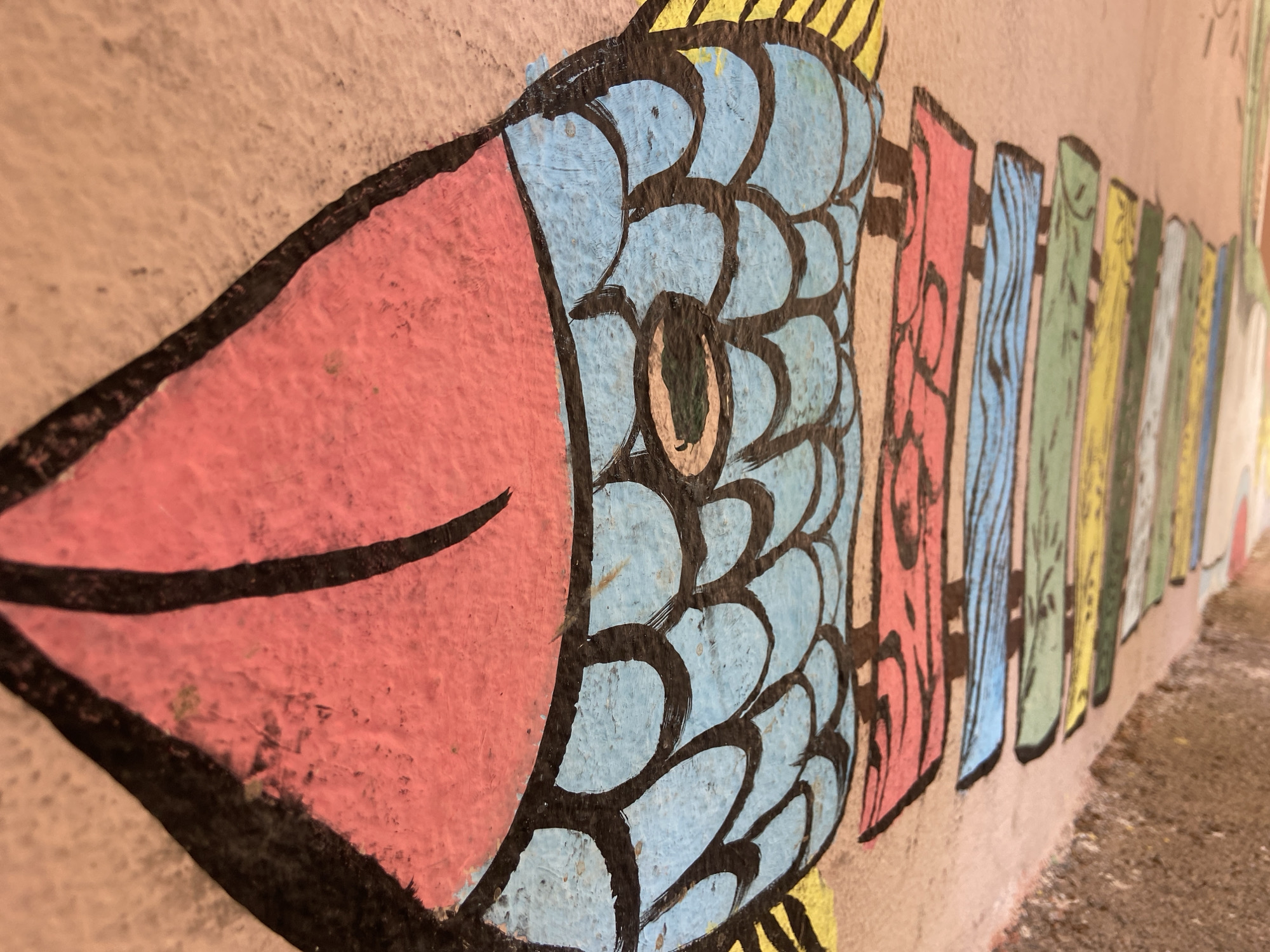 A close-up image showcases a mural painted on a wall, depicting a fish. The fish's head is pink with a defined black outline and a black curved line indicating the mouth. The body is covered in blue scales, each outlined in black, with a yellow fringe at the top. The remainder of the fish's body consists of vertically arranged, brightly colored rectangles, resembling a xylophone or fish skeleton. The colors of these rectangles alternate and include red, blue, green, yellow, and white. The wall itself is a textured, light tan color. The image exhibits a slight perspective distortion, as the wall extends back into the distance and slightly upwards. The location is in Budva, Montenegro.