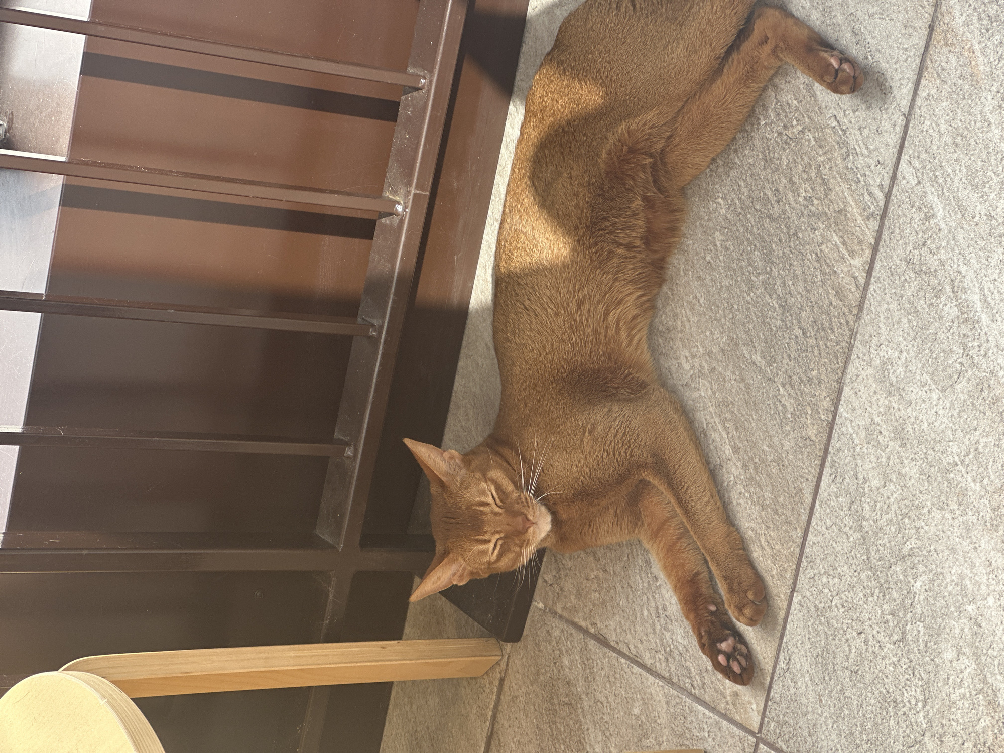 A reddish-brown cat is lying on a gray tiled floor, adjacent to a brown metal grate, possibly a radiator cover. A portion of a light-colored wooden chair is visible in the lower left corner of the frame. The cat is stretched out, with its head near the bottom left and its body extending diagonally towards the upper right corner. The cat appears to be asleep or relaxed. The lighting suggests an indoor environment, possibly near a window. I have no information that allows me to confirm the location in Kazan, Russia.