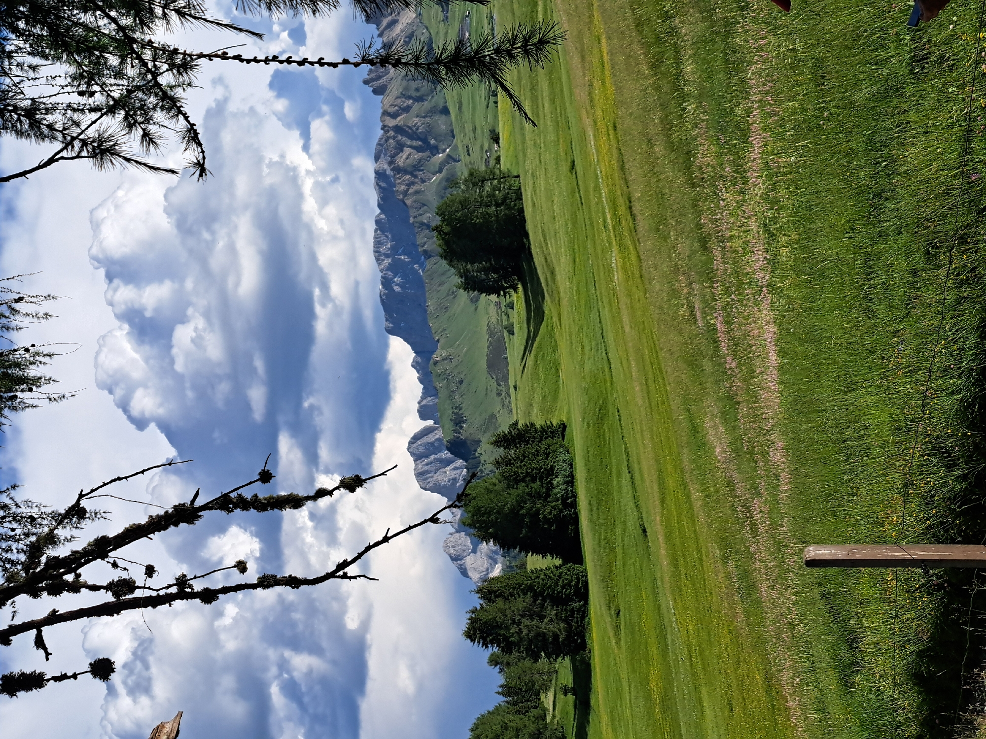 The image captures a serene mountain landscape, likely in the Italian Dolomites, under a dramatic sky filled with billowing clouds. In the foreground, the silhouette of pine branches frames the scene, with their needles and cones visible. A lush green meadow slopes gently towards a cluster of evergreen trees. Beyond the trees, rolling hills ascend to a rugged mountain range, its peaks jagged and imposing. The sky above is a mix of bright blue and dark, stormy clouds, suggesting an approaching or receding weather front. A wooden fence post and barbed wire are visible in the lower left corner, indicating the edge of a pasture. The overall impression is one of natural beauty and a sense of awe inspired by the grandeur of the mountains and the dynamic sky.
