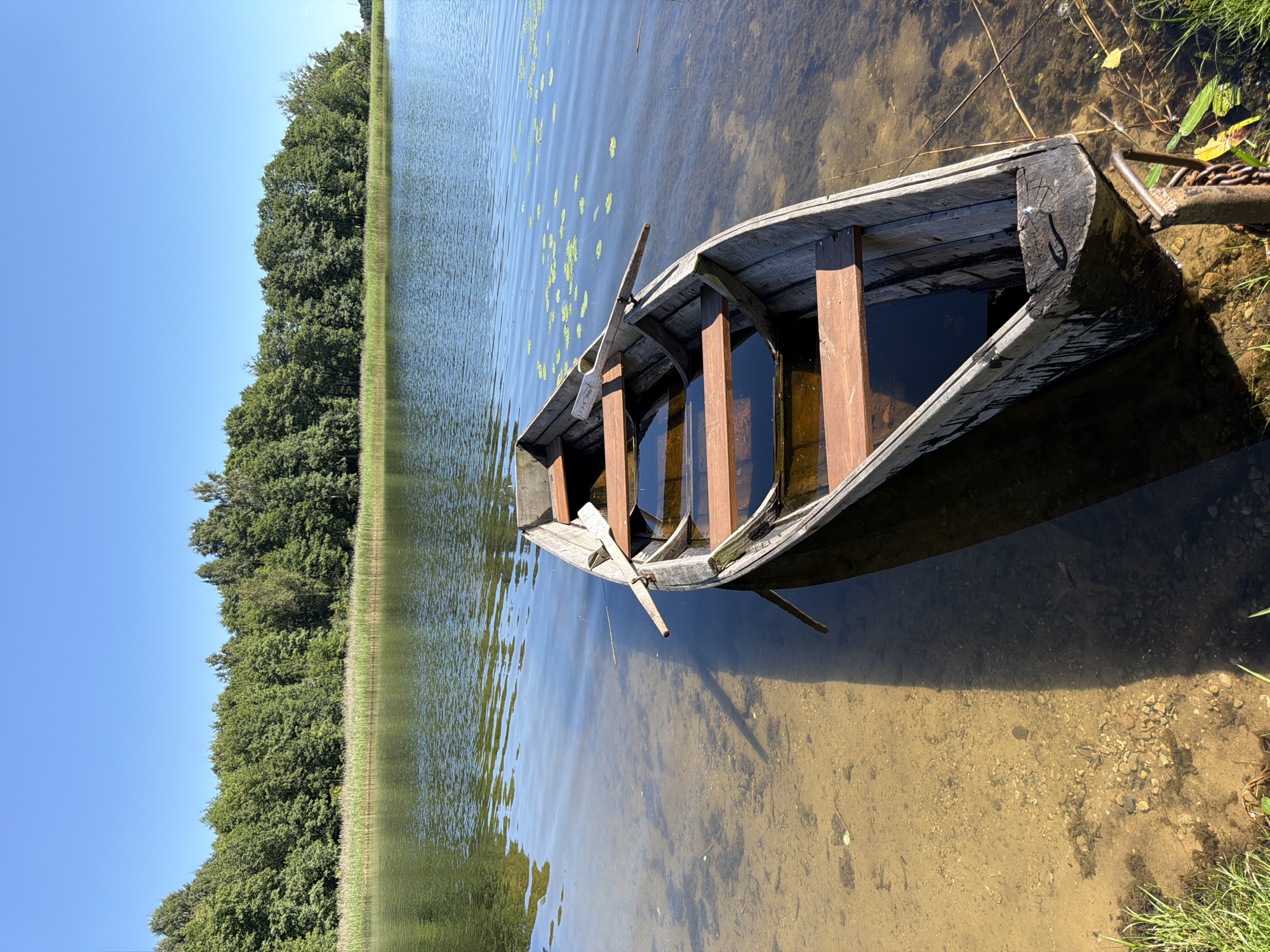 A low-angle, full shot captures a weathered, wooden rowboat partially submerged in clear, shallow water on the edge of a lake. The boat, with its rustic wooden benches and weathered exterior, contains visible water. One oar rests inside, while another is partially visible extending over the side. The sandy lakebed is visible through the translucent water, with small pebbles scattered across it. Green grass and reeds line the shore in the foreground. In the background, a dense line of lush green trees forms a natural border against a bright, clear blue sky. The surface of the lake is calm, with gentle ripples and scattered lily pads. The scene is one of natural tranquility, depicting a serene waterside environment.
