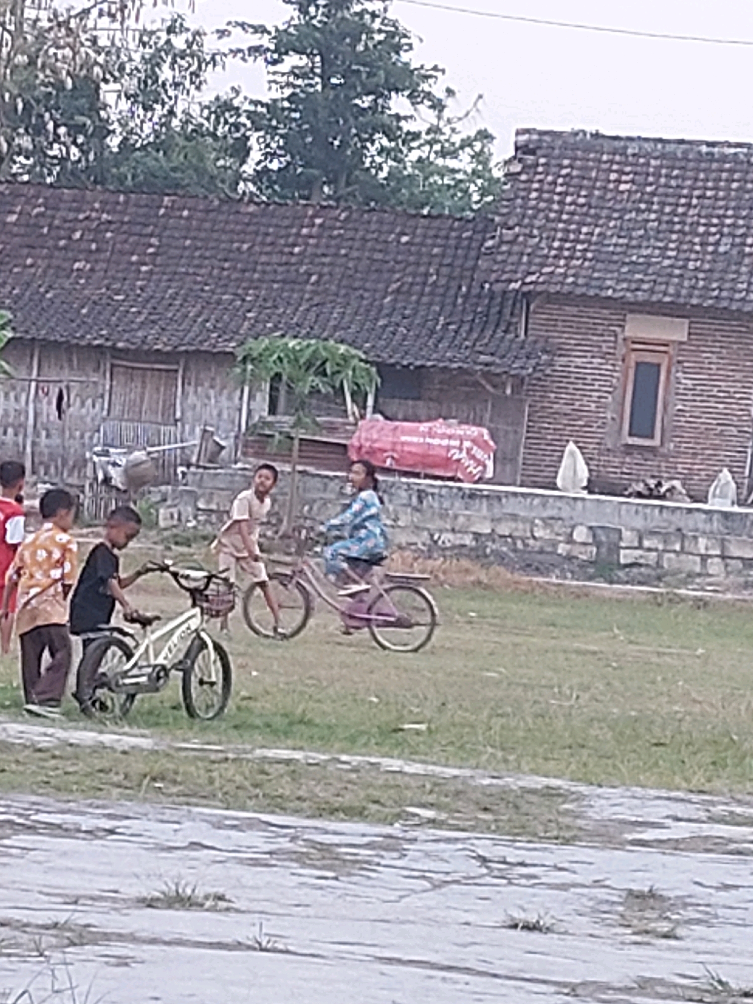 Memory