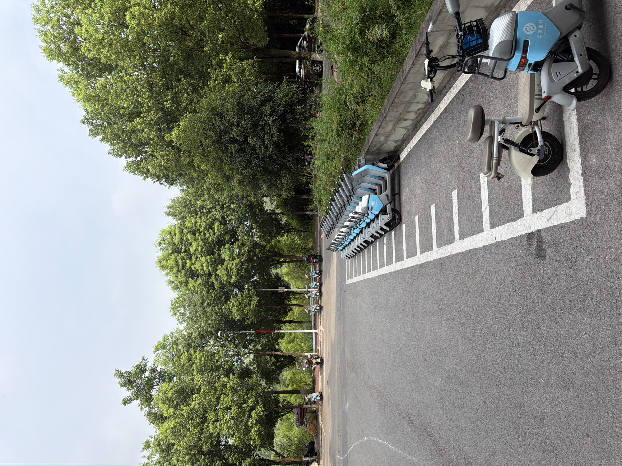 In Jiangjin, China, a parking lot is filled with an assortment of electric scooters. The scooters are parked in rows, with some in the foreground and more stretching into the background. Trees line the edge of the parking lot, and a road is visible beyond them with a brown SUV parked on it. The sky is overcast. The scene is devoid of any human activity.