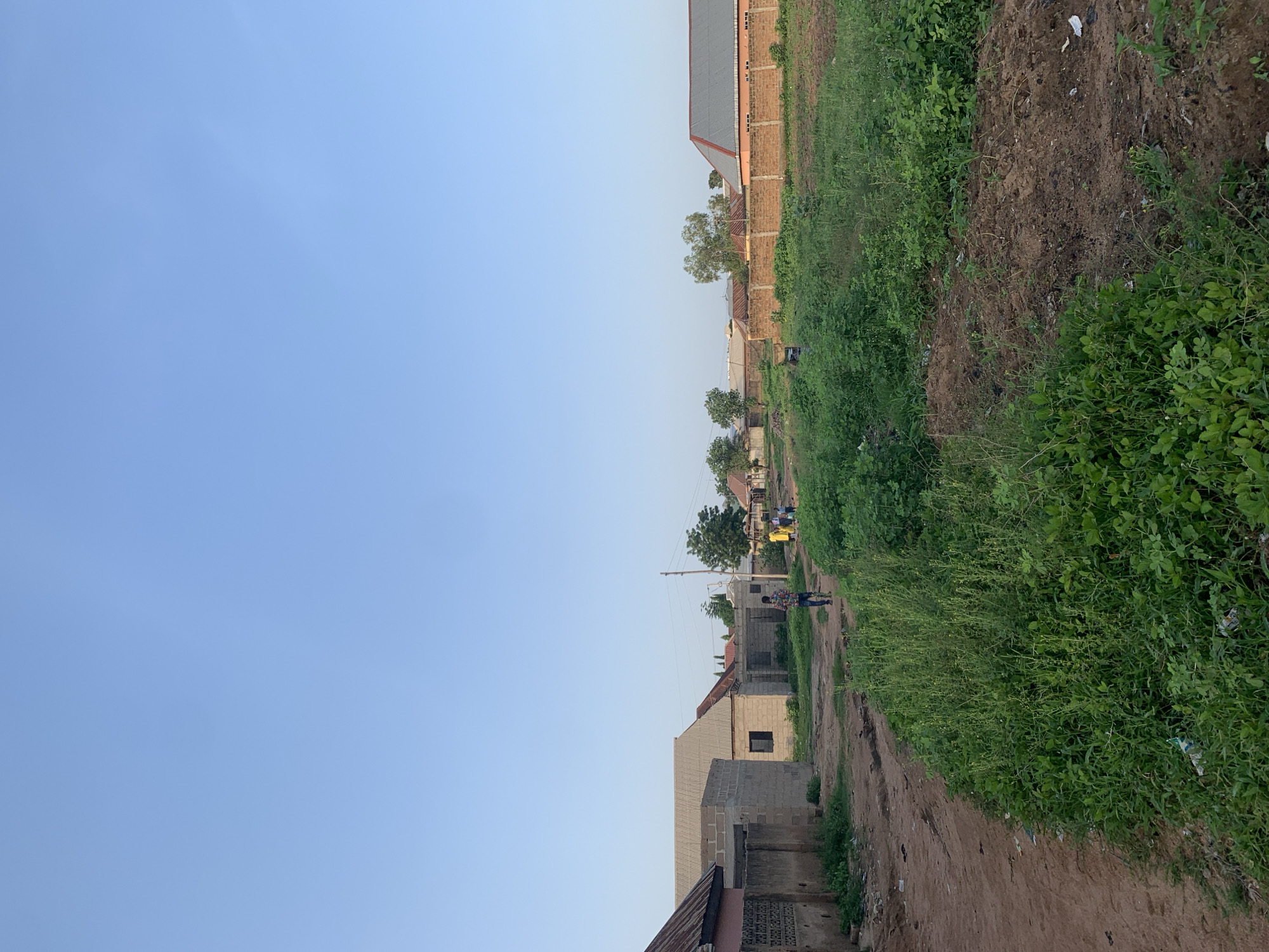 The image depicts a street scene in Jalingo, Nigeria, under a clear blue sky. On the left, a dirt road curves through a neighborhood with various unfinished and completed brick structures. A tall, unplastered brick wall runs along the left side of the road, bordering a property with a corrugated metal roof. Further down the road, more unplastered brick houses are visible, some with windows and others still under construction. A few scattered trees are present throughout the scene.
On the right side of the road, a large parcel of undeveloped land is covered with lush, green vegetation and some patches of bare earth. A low brick wall with concrete posts separates this area from a neighboring property with a salmon-colored building and a grey, corrugated metal roof. In the distance, more residential buildings and vegetation are visible.
A few individuals are present in the scene. In the middle distance, a person wearing a colorful shirt is walking away from the camera on the dirt road. Further down the road, a small group of people, including some appearing to be children, are walking together. The overall environment suggests a residential area in Jalingo, possibly experiencing ongoing construction and development.