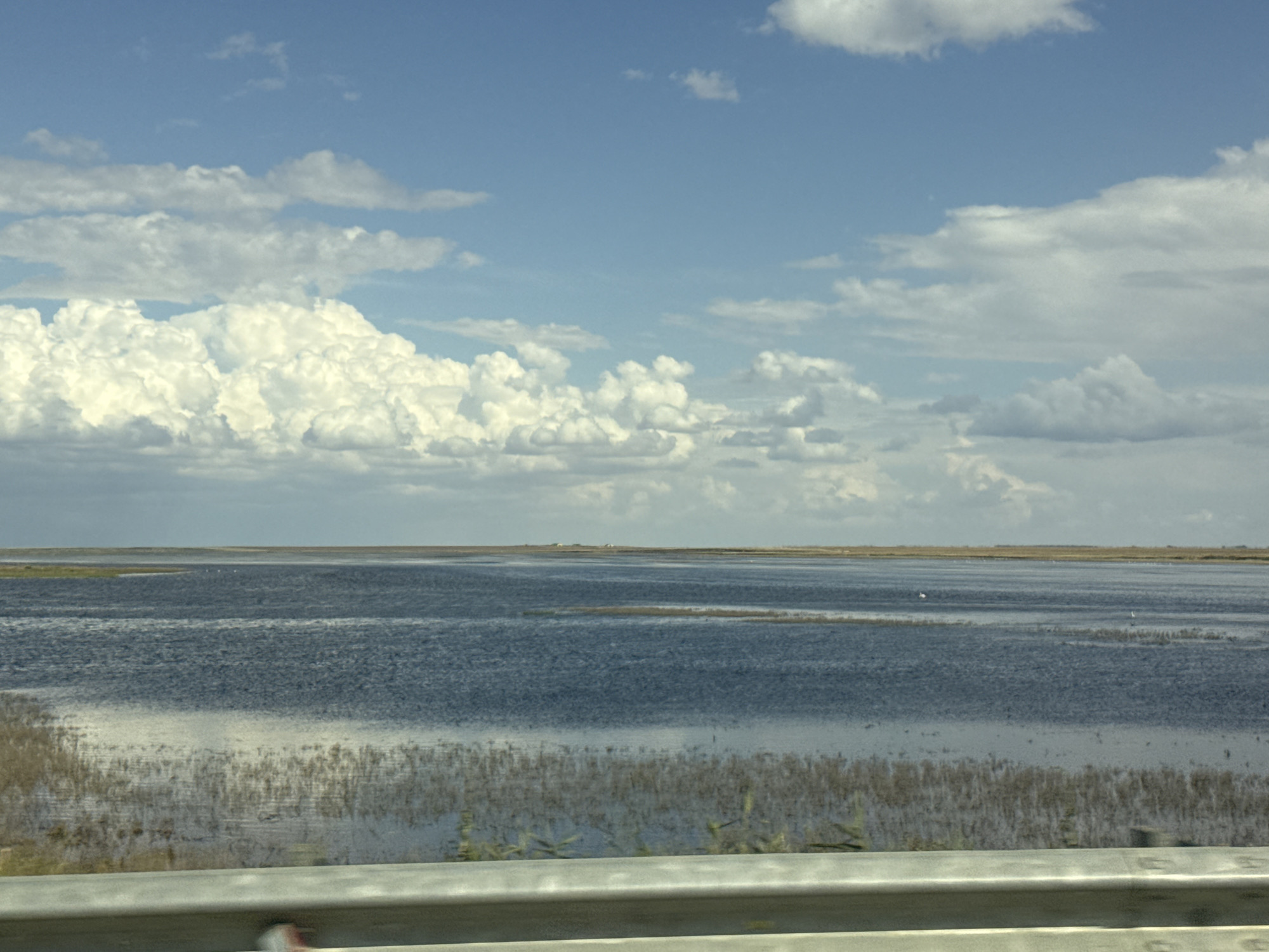 This is a horizontal, medium-shot, eye-level, outdoor, daytime photograph of a vast, shallow body of water under a blue sky with scattered white clouds. The water is dark blue and appears somewhat choppy, with lighter patches reflecting the sky. In the foreground, a dull gray metal guardrail runs horizontally across the bottom of the frame. Beyond the guardrail, submerged vegetation is visible as a textured pattern in the shallow water, especially towards the left and center of the image. In the distance, the horizon is marked by a thin strip of dry, golden-brown land, possibly reeds or marshy terrain, with a few faint, low structures visible in the far distance. A small flock of white birds is scattered across the surface of the water in the middle distance. The sky is a bright blue, with large, puffy white cumulus clouds dominating the upper portion of the frame. The overall impression is one of a wide-open, natural landscape. The lighting suggests it is midday, and the weather appears fair with a pleasant, partly cloudy sky. There is no visible text in the image.