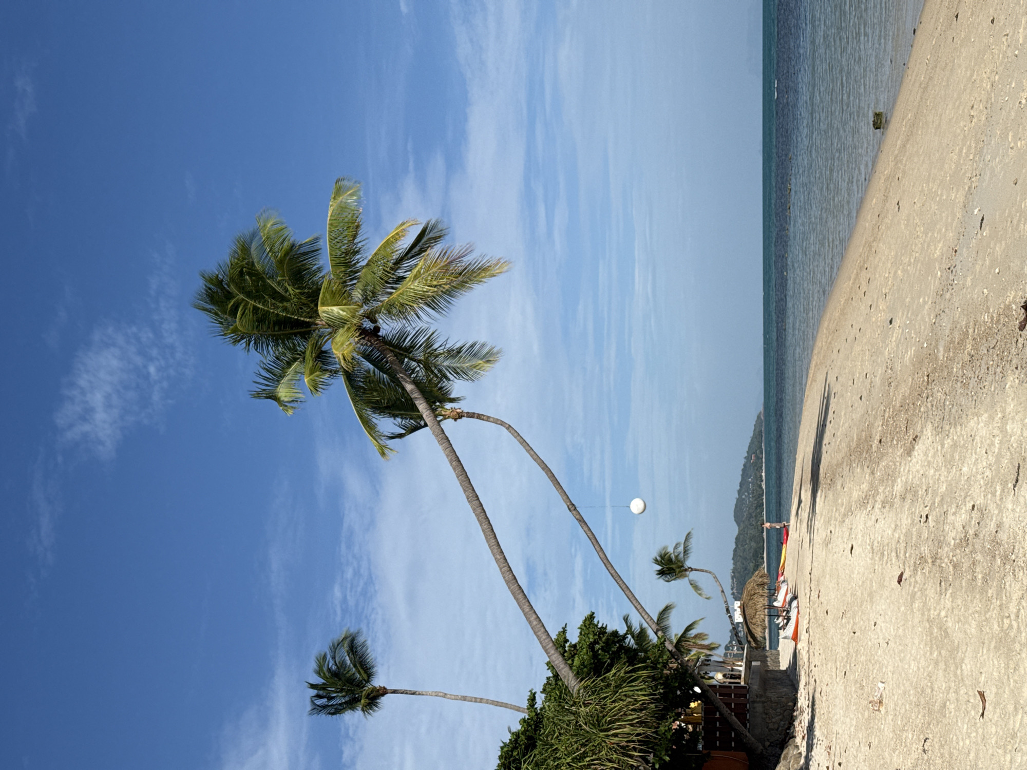 A sun-drenched beach scene on Koh Samui island, Thailand, features several leaning palm trees against a clear blue sky with scattered white clouds. The foreground is dominated by a sandy beach with scattered leaves and debris. In the mid-ground, a thatched umbrella shades a few colorful inflatable chairs and kayaks. A lone person stands near the water's edge, facing away from the camera. The calm, turquoise ocean stretches to the horizon, with a faint line of green hills visible in the distance. A white sphere hangs from a string attached to one of the palm trees.