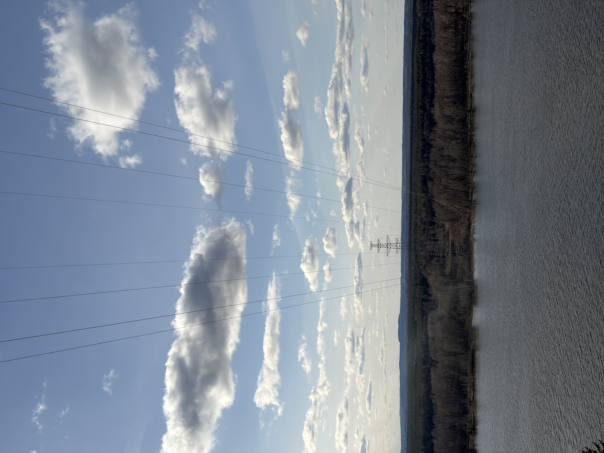 The image shows a landscape with a body of water on the right side, a treeline along the edge of the water, a clear blue sky with cumulus clouds, and high-voltage power lines with a utility pole in the center. The location is likely near a reservoir or large lake near the city of Chaykovsky, Russia, given the presence of power lines often associated with industrial areas and the general landscape. The image provides no information on people, actions, or interactions.