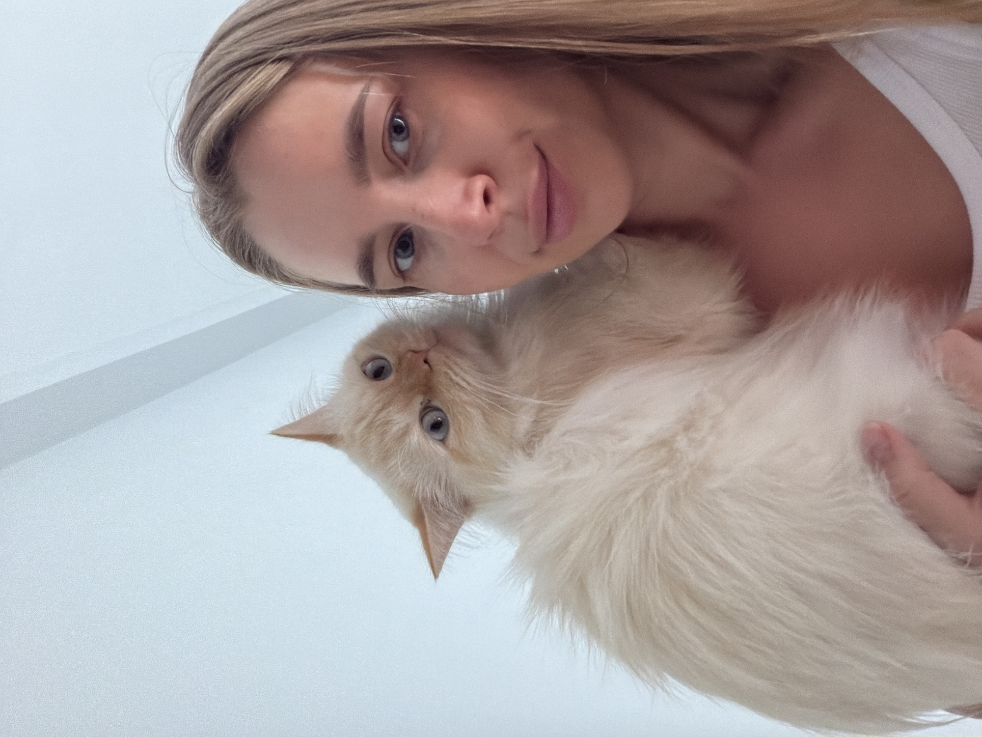 In an indoor setting with a plain, light-colored wall and ceiling, a young woman with blonde hair is holding a cream-colored cat. The cat is positioned on her left shoulder, with its head turned towards the camera and its blue eyes looking directly at the viewer. The woman is wearing a white tank top. The overall lighting is soft and natural. The specific location in Çekmeköy, Turkey is not discernible from the visual information presented in the image.