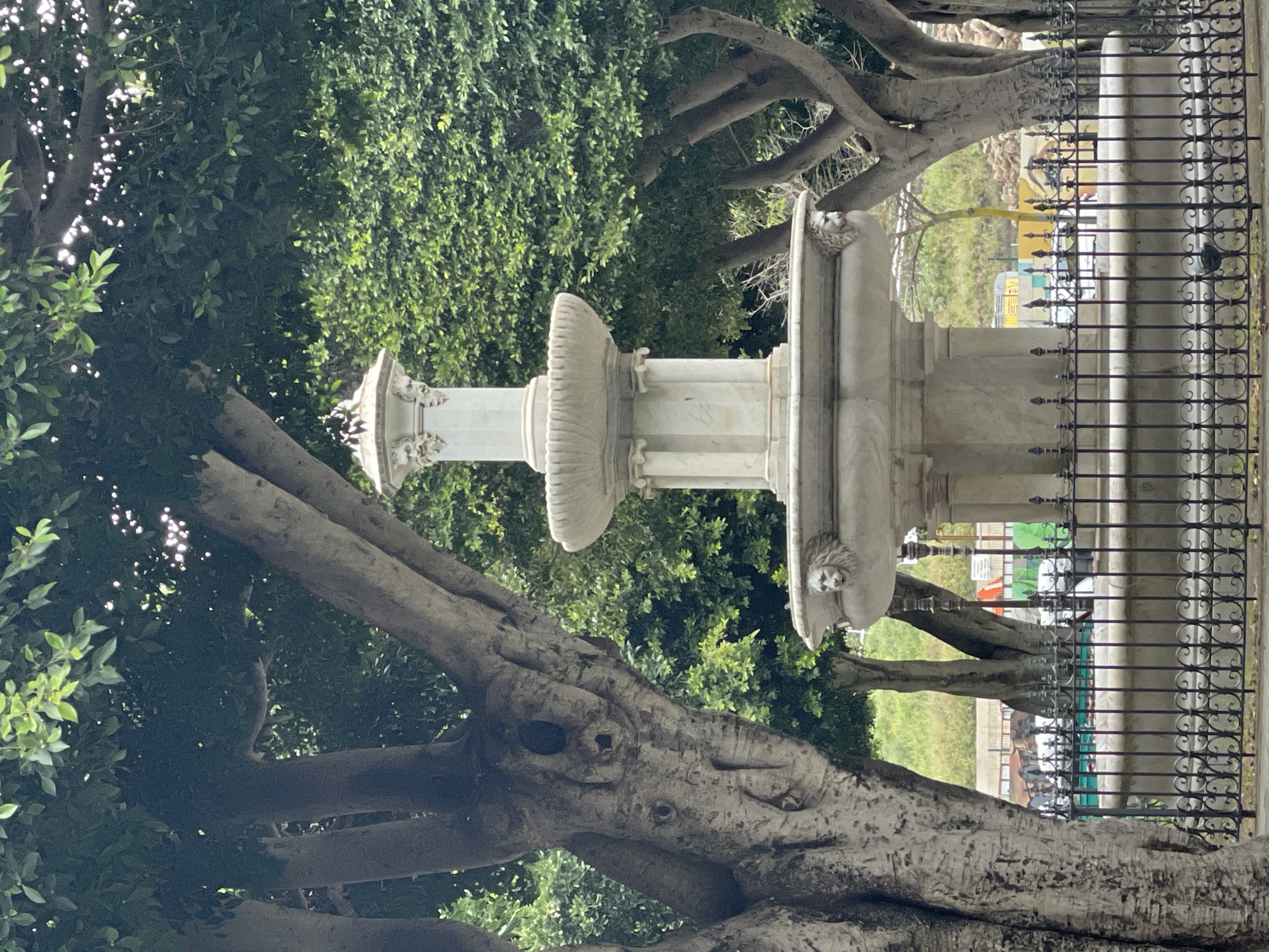 This image captures a serene outdoor scene, likely in a park or garden in La Cuesta, Spain. The central subject is a multi-tiered white marble fountain, adorned with classical architectural details such as fluted columns, ornate basins, and sculpted lion heads on its lower tier.
The fountain is framed by large, mature trees featuring thick, gnarled trunks and branches, densely covered with vibrant green foliage. Some of the tree bark displays unique, natural formations that could be interpreted as abstract faces or eye-like patterns. The overall lighting suggests it is daytime, with soft, natural light filtering through the leaves.
In the mid-ground, a black metal fence with decorative scrollwork runs horizontally, partially separating the fountain area from the blurred background. Beyond the fence, indistinct shapes and colors, including yellow, green, and white hues, suggest distant buildings or urban elements. There are no people or specific activities occurring in the static scene, and no visible text is present.