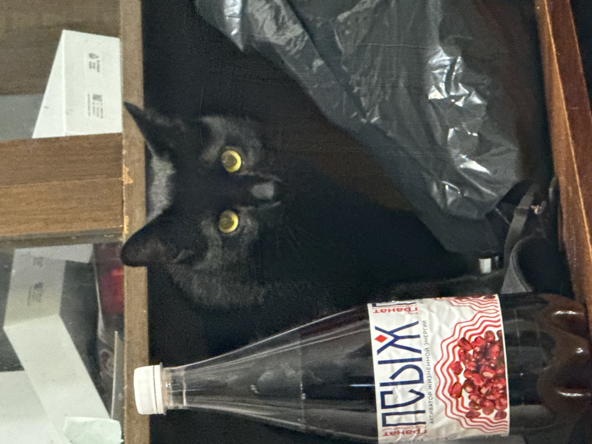 A black cat with bright yellow eyes peeks out from behind a crumpled black plastic bag, nestled amongst what appears to be shelves filled with various objects. In the foreground, to the left of the cat, sits a clear plastic bottle filled with a dark red liquid and labeled in Russian with Cyrillic text that reads "ПСЫХ" and "ГРАНАТ," along with an image of pomegranate seeds. The background shows stacked white boxes on a shelf. The overall scene suggests an indoor environment, possibly a storage area or a cluttered shelf. The location is identified as Khimki, Russia.