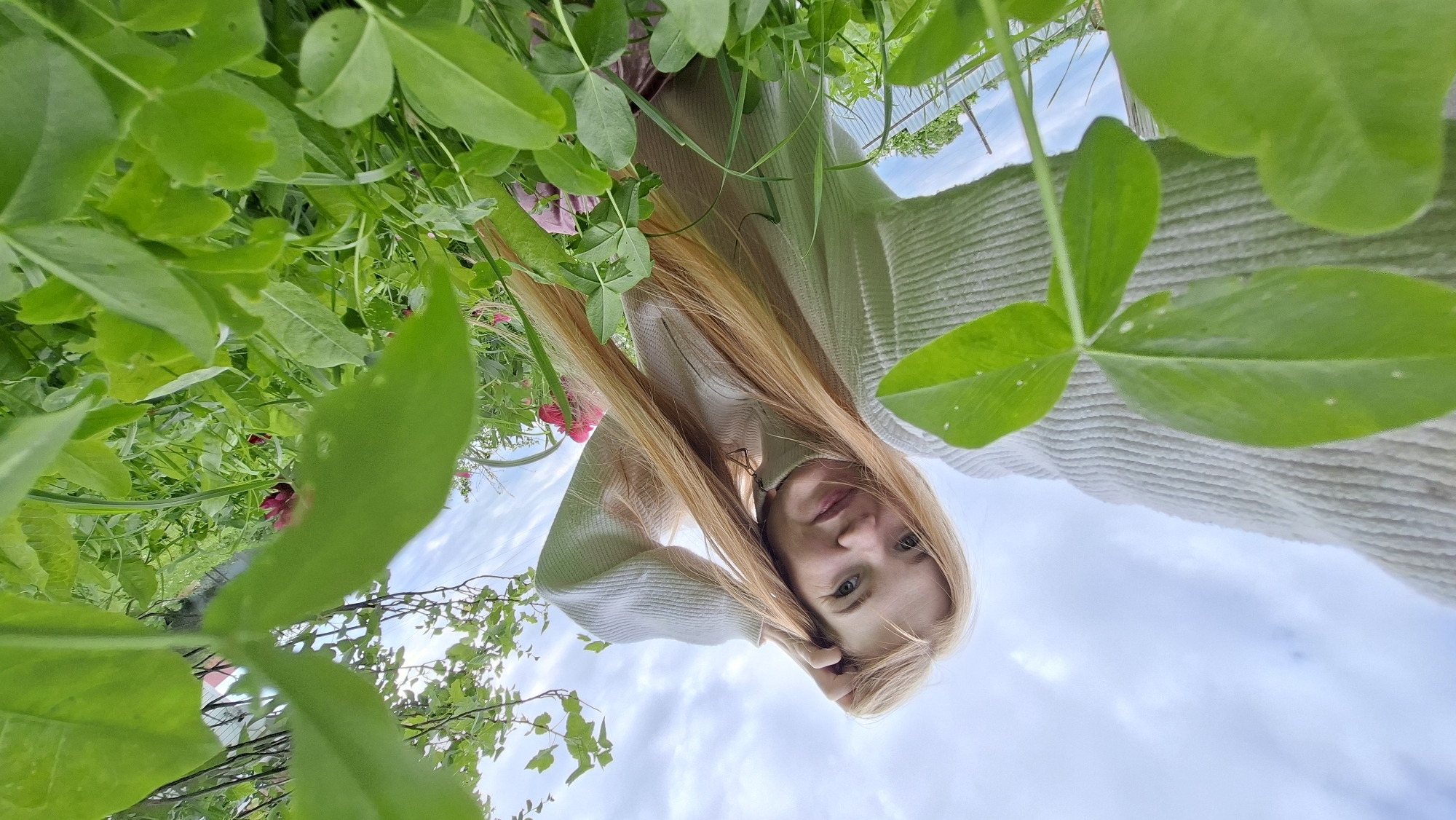 This is a portrait of a young woman with long, blonde hair, taken from a low angle. She is wearing a light-colored, textured sweater and is partially obscured by lush green foliage. The woman is looking directly at the camera with a calm expression. Her right hand is resting on her head.
The scene appears to be outdoors, likely in a garden or natural setting, given the abundant greenery and blue sky with scattered clouds visible in the background. The presence of what look like pea plants suggests a rural or garden environment. The lighting indicates it is daytime, possibly late morning or afternoon.
The image is oriented sideways, with the top of the woman's head positioned towards the bottom of the frame. This unusual perspective might be intentional, perhaps to emphasize the surrounding nature or create a unique artistic effect. There are no visible text elements in the image. The overall mood is serene and natural, with the woman integrated into the verdant surroundings.