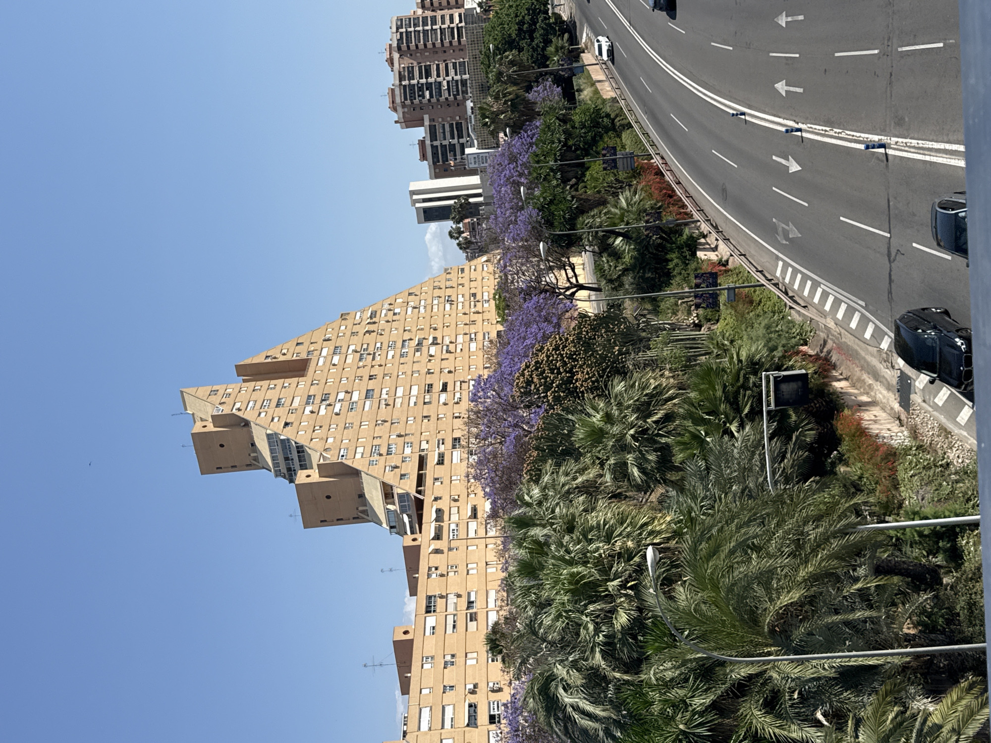 The image displays an elevated view of a vibrant urban landscape on a clear, sunny day. In the foreground and extending to the left, a distinctive multi-story building with a light brown facade dominates the scene. This building features a unique, stepped, and angular architectural design, with numerous windows and visible air conditioning units on its exterior. Further back and to the right, other residential buildings, some taller, are visible against the skyline.
Separating the buildings from the road is a lush belt of vegetation. This includes numerous palm trees with their characteristic fronds, other green leafy plants, and a prominent line of trees adorned with striking purple blossoms, likely Jacaranda trees, indicating a warm climate.
To the right of the vegetation, a multi-lane highway or major road curves gently into the distance. It features clear white lane markings, including solid and dashed lines, as well as directional arrows painted on the asphalt (pointing straight and indicating turns). Several vehicles are visible on the road; two dark cars are in the closest lanes, and a white car can be seen further along. A guardrail separates the road from the greenery, and streetlights are interspersed within the foliage.
The sky above is a bright, cloudless blue, suggesting fair weather and strong sunshine. No people are discernible in the image, and no specific event is taking place beyond the routine traffic flow. The visible text is limited to the directional arrows on the road surface.