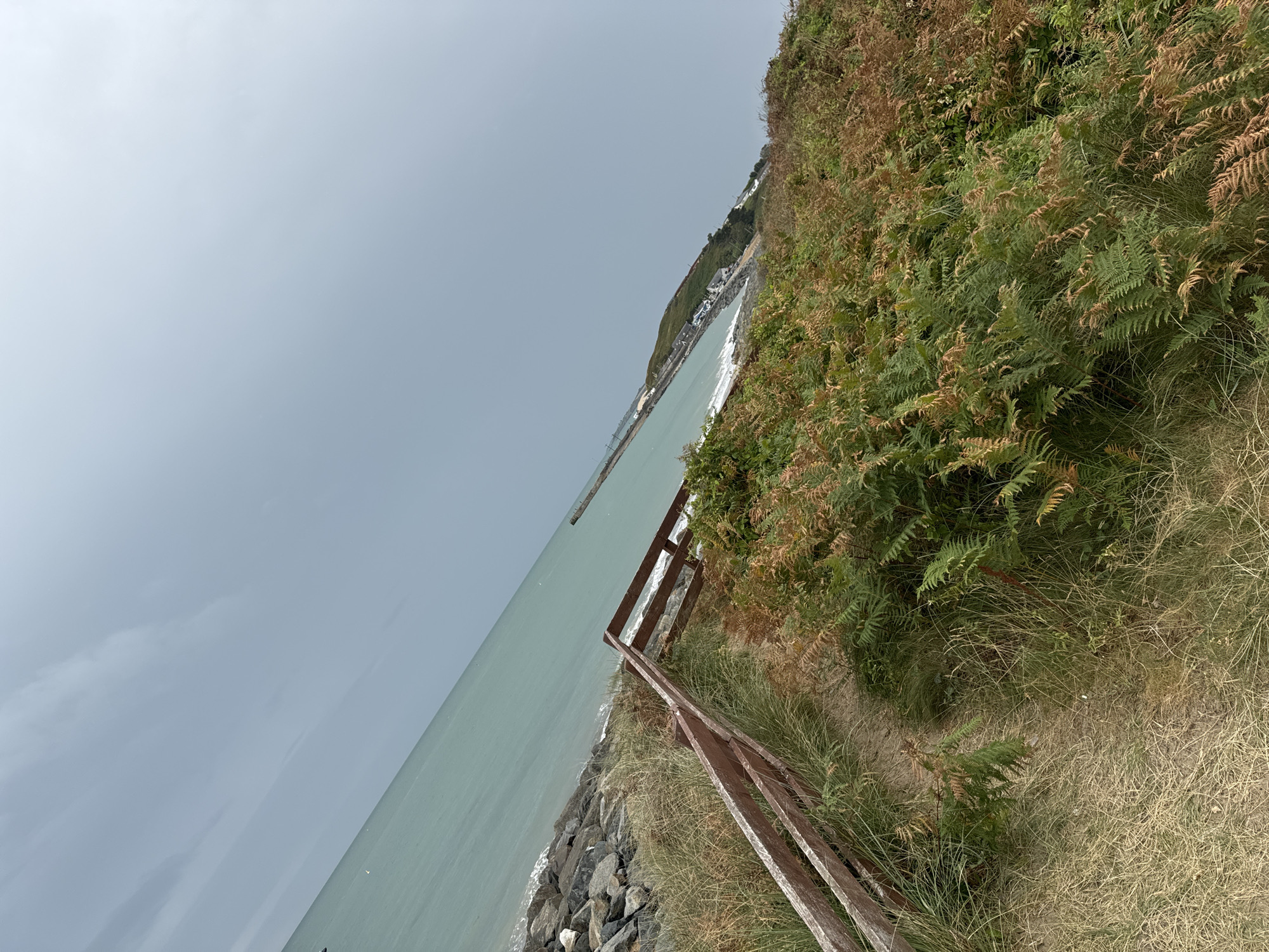 The image shows a coastal scene in Courtown, Ireland. A rustic wooden fence runs diagonally across the foreground, bordering a grassy and fern-covered embankment. Beyond the embankment is the sea, a pale turquoise color, meeting a rocky shoreline on the left. In the distance, a pier extends into the sea, and a small town is visible along the coast. The sky is overcast with a pale grey hue. The image is taken from a slightly elevated perspective, looking down and across the landscape.