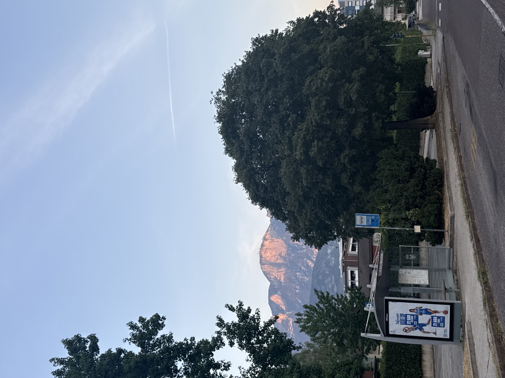 The image depicts a street scene in Trento, Italy, with a bus stop in the foreground. A large, leafy tree dominates the right side of the frame, casting a shadow on the sidewalk and road. Behind the tree, a mountain range is visible, with the peaks illuminated by the setting sun. The sky is clear with a few wispy clouds. The bus stop is modern with a transparent roof and a bench inside. A poster advertising a basketball event is displayed on the side of the bus stop, featuring two athletes in uniform. The street is paved and appears to be a residential area, with buildings and more trees visible in the background. The overall impression is one of a peaceful evening in a scenic Italian city.