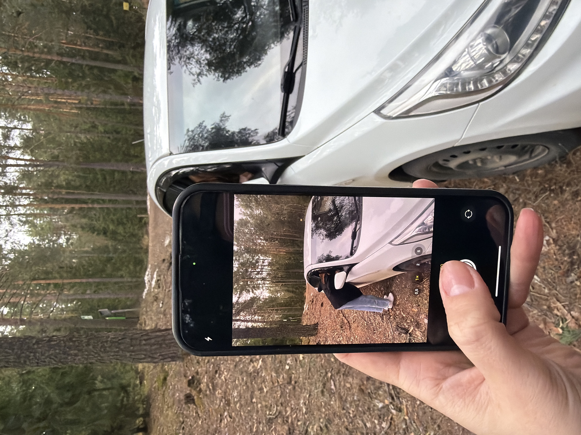 An individual is captured holding a black smartphone horizontally, actively using its camera function. The phone's screen displays a photograph in progress, featuring a white car, likely a compact sedan or hatchback, parked on a natural forest floor covered with dirt and fallen pine needles. A second person, wearing a black long-sleeved top, light blue jeans, and white sneakers, is seen leaning into the open driver's side door of the car. The background of the image within the phone's screen is a dense pine forest, illuminated by soft daylight, suggesting late afternoon.
In the primary image, parts of the same white car are visible beyond the phone, confirming the forest setting. Reflections of trees and the sky are prominent on the car's windshield and hood. The phone's interface shows camera controls, including zoom settings "0.5x", "1x", "2x", and "5", with "PHOTO" highlighted as the active mode. A circular shutter button is visible, along with a flash icon (lightning bolt) and a camera toggle (circular arrow). A small green dot in the top-left corner of the screen indicates the camera is active. The hand holding the phone is clearly visible, with a thumb poised near the shutter button.
The overall environment is a coniferous forest, characterized by tall pine trees and natural ground cover. Faintly visible in the distant forest background, outside the phone's view, is a green object or sign. The scene takes place during the daytime in Chaykovsky, Russia.
