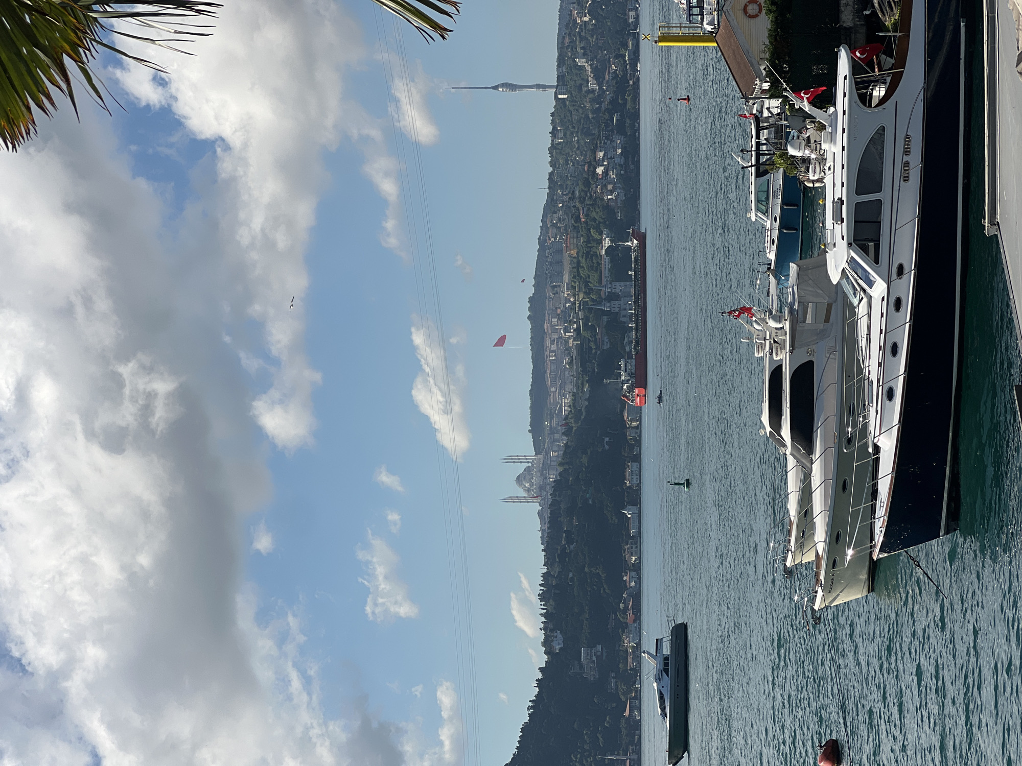 The image depicts a sunny day with a partially cloudy sky over a body of water, likely the Bosphorus strait, with the cityscape of Beşiktaş, Turkey, in the background. The foreground features several docked yachts and boats.
In the mid-ground, a large red cargo ship is visible sailing on the water. Beyond the water, the Beşiktaş skyline is characterized by lush green hills dotted with buildings. Prominently featured on the hills are a large mosque with multiple minarets and a tall, modern television tower. A large red flag flies from a flagpole on the left side of the image, and a smaller red flag is visible closer to the tower.
The water is a vibrant blue-green, reflecting the sky. The clouds are white and fluffy, with some darker gray clouds suggesting recent or impending weather changes. A palm frond is visible in the upper right corner, framing the scene. The overall impression is a bustling maritime environment set against a scenic urban backdrop.