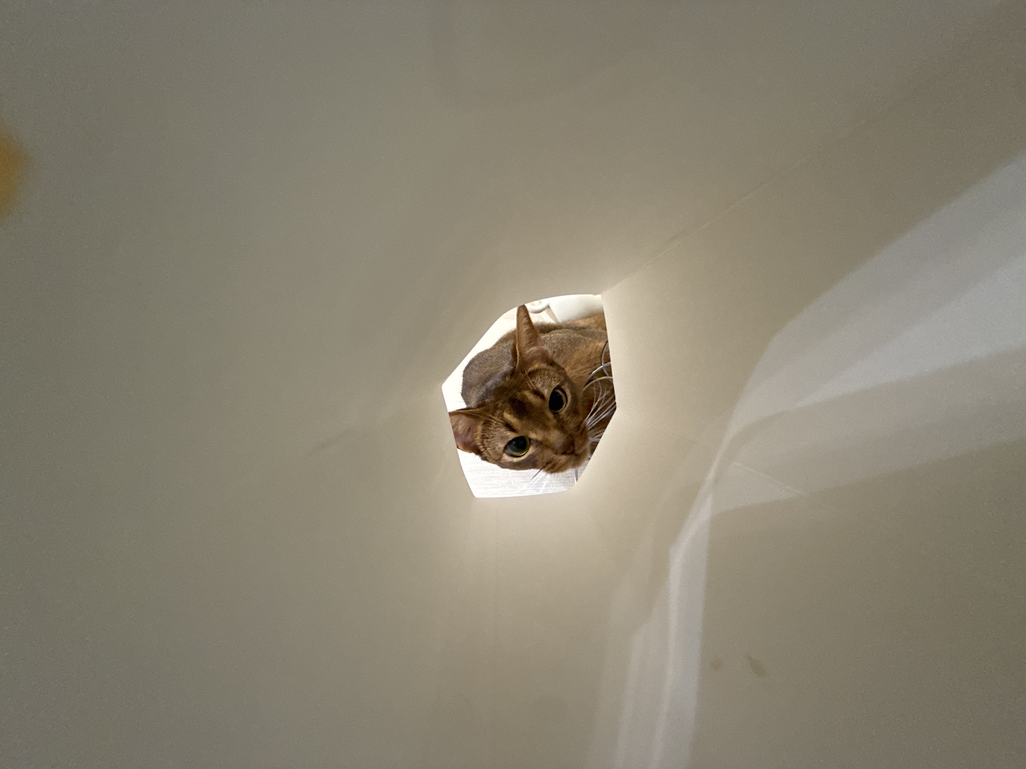 A ginger cat peeks out from a hole in a large, light-colored paper bag. The cat's face is turned towards the camera, with its green eyes wide open and its whiskers prominent. The background appears to be an indoor setting, with soft lighting. There is no discernible information about the location in Vinnytsia, Ukraine.