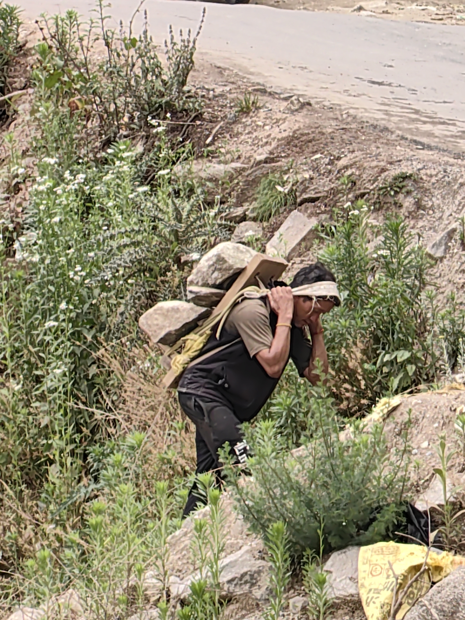In Vashisht, India, a man with dark hair, wearing a light-colored headband, a dark vest over a green t-shirt, and black pants, carries a heavy load of rocks and a wooden plank strapped to his back. He appears to be walking uphill on a rocky, dirt path bordered by lush green vegetation and sparse white flowers. The road is visible in the upper part of the image, and a yellow bag lies on the ground in the lower right corner. The man's posture suggests exertion and effort as he navigates the uneven terrain.