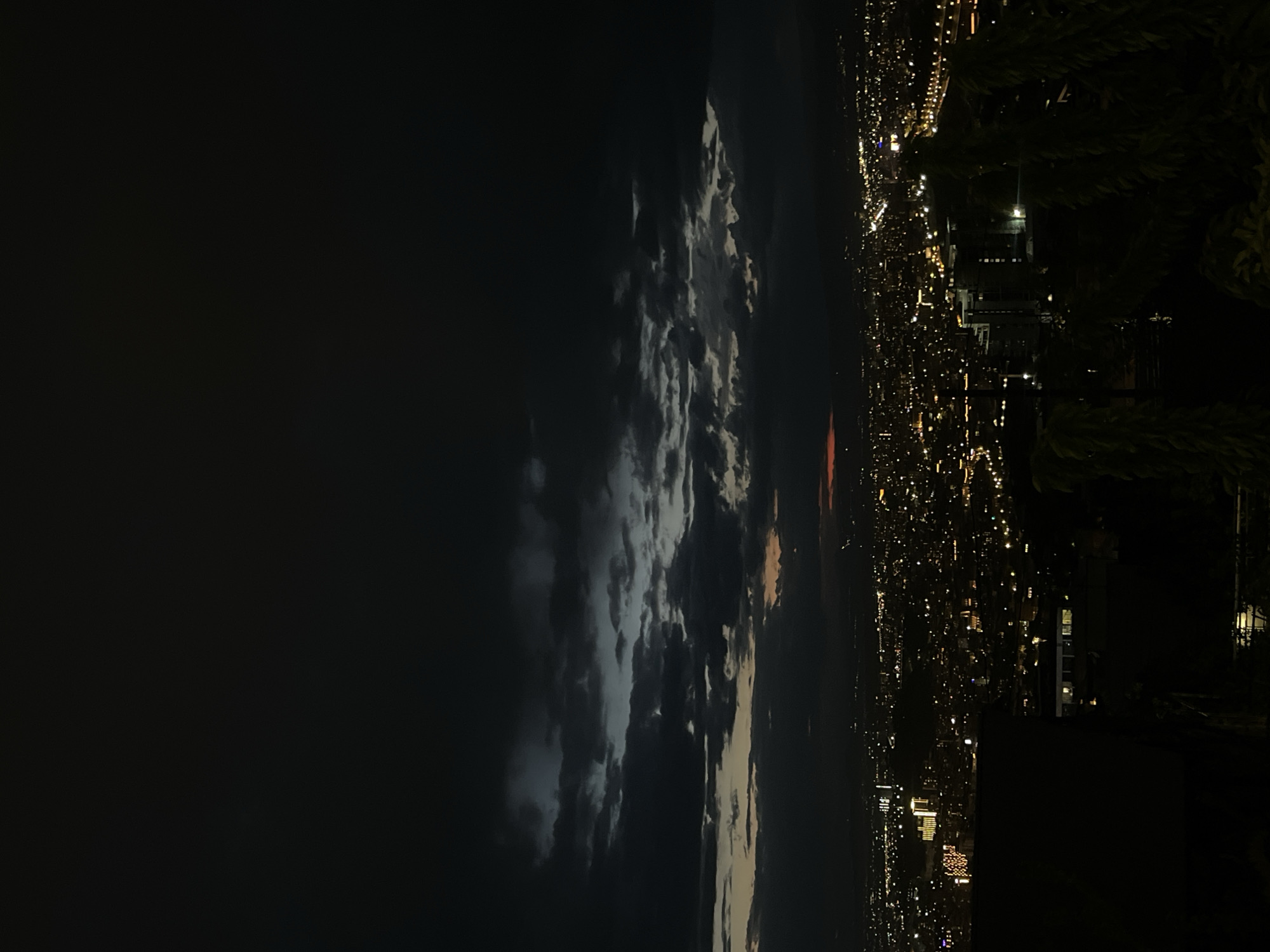 A cityscape at night, with the city lights of Yerevan, Armenia, visible on the right side of the frame. A dark sky fills the left side, punctuated by a band of clouds. The bottom-right foreground features a dark mass of foliage. The image is vertically oriented.