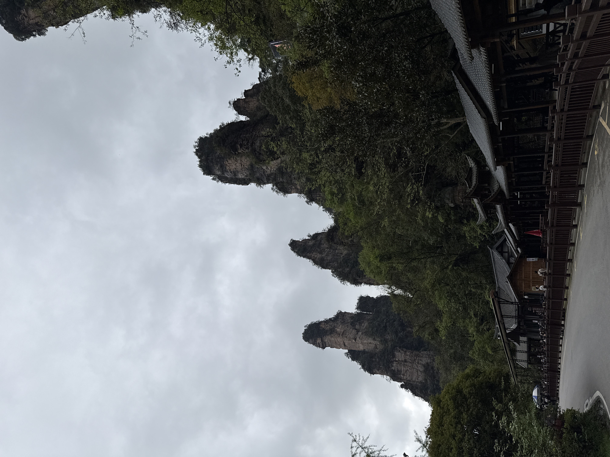 The image depicts a cloudy scene in Luoguta, China, showcasing distinctive geological formations. Tall, rocky pillars densely covered in greenery stand prominently against the overcast sky. A building complex with traditional East Asian architectural elements is visible to the right, featuring a sloped roof and wooden structures. A paved road runs alongside the buildings.